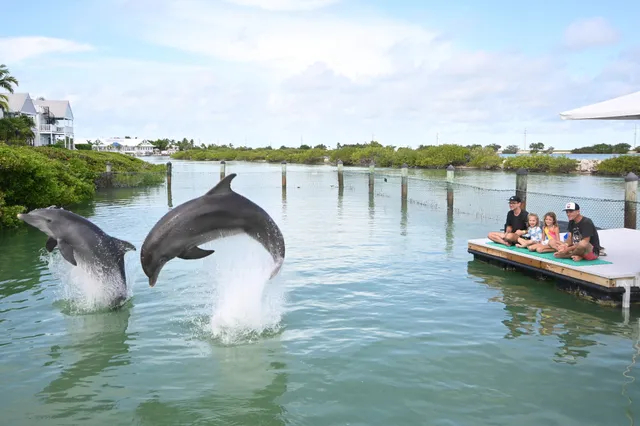 Wander Islamorada Shores: Activities Guide 