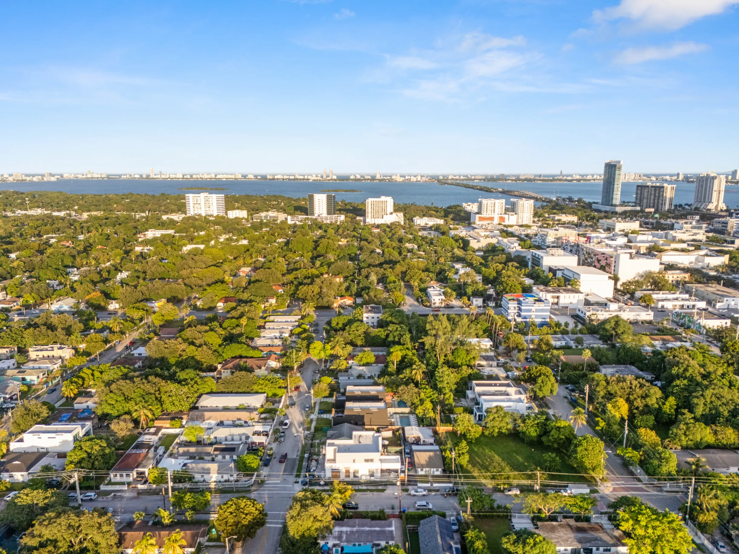 Wander Design Oasis #89