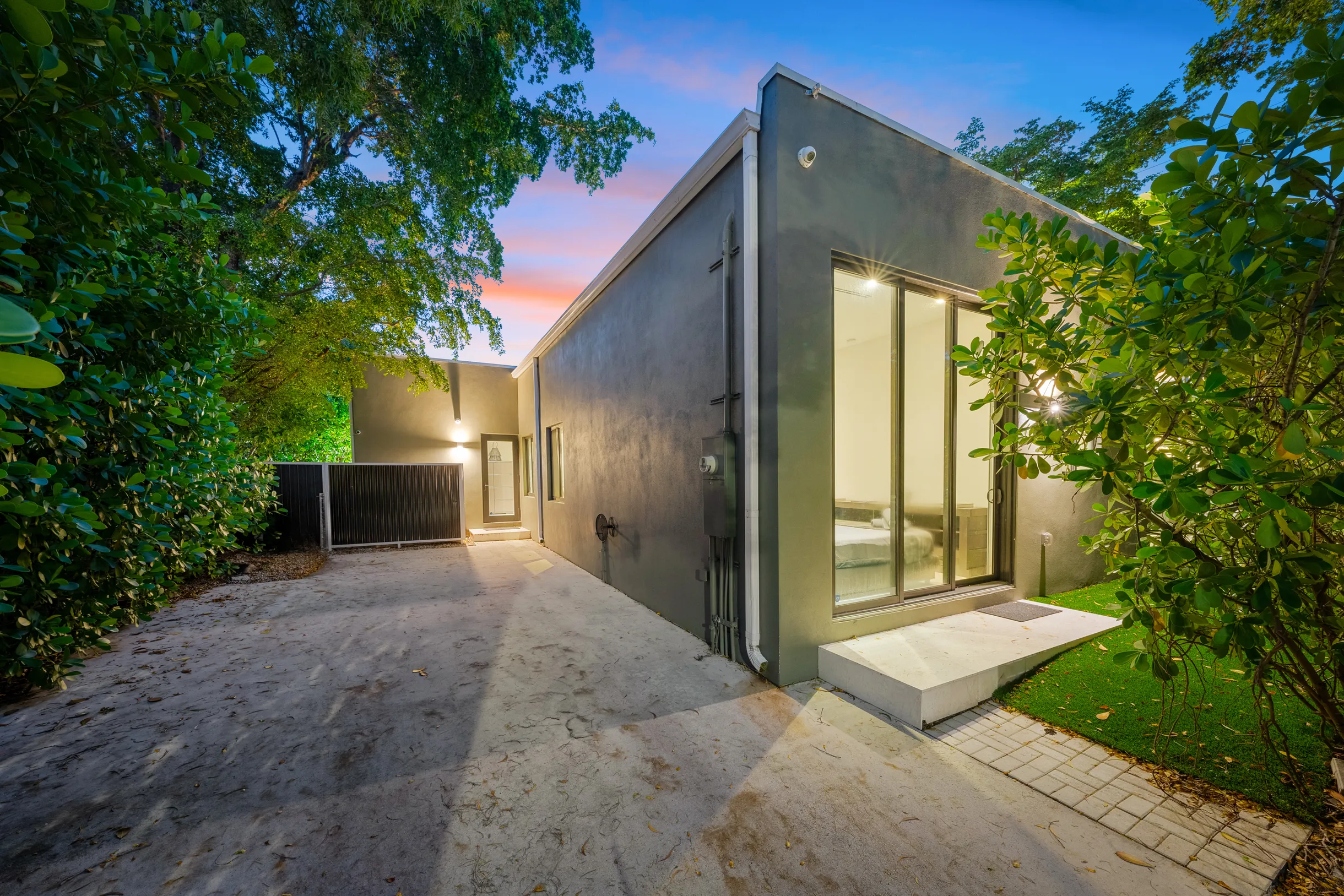 Wander District Palms #4