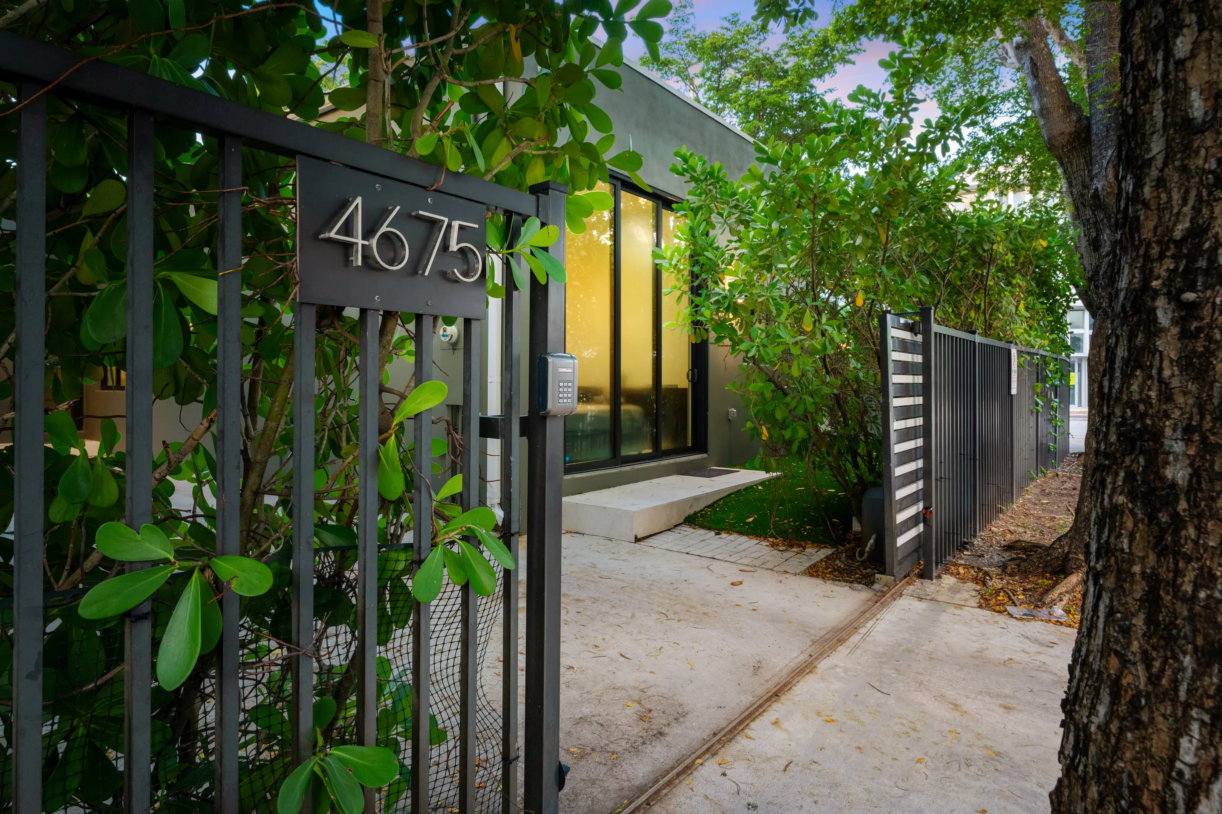 Wander District Palms #5