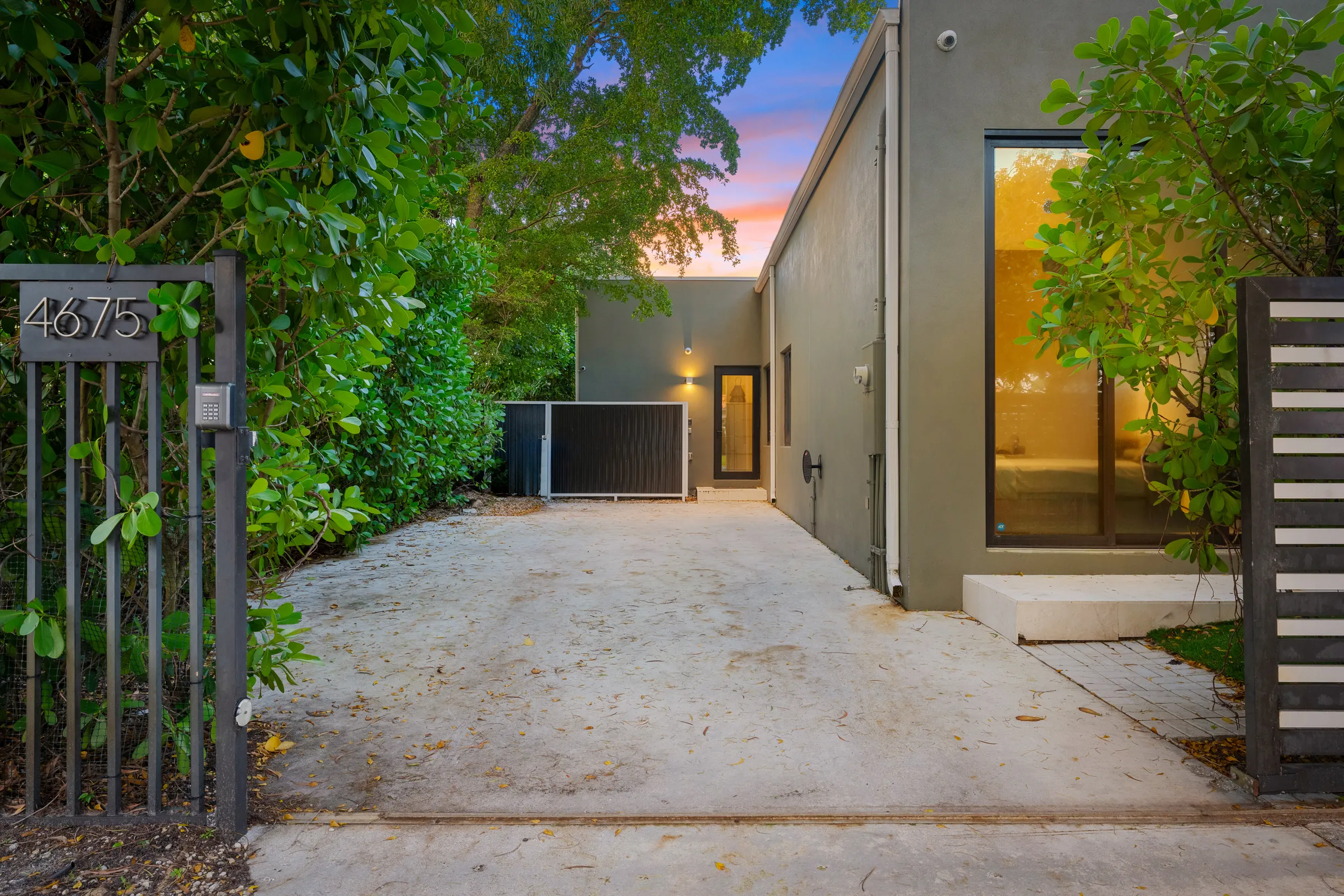 Wander District Palms #31