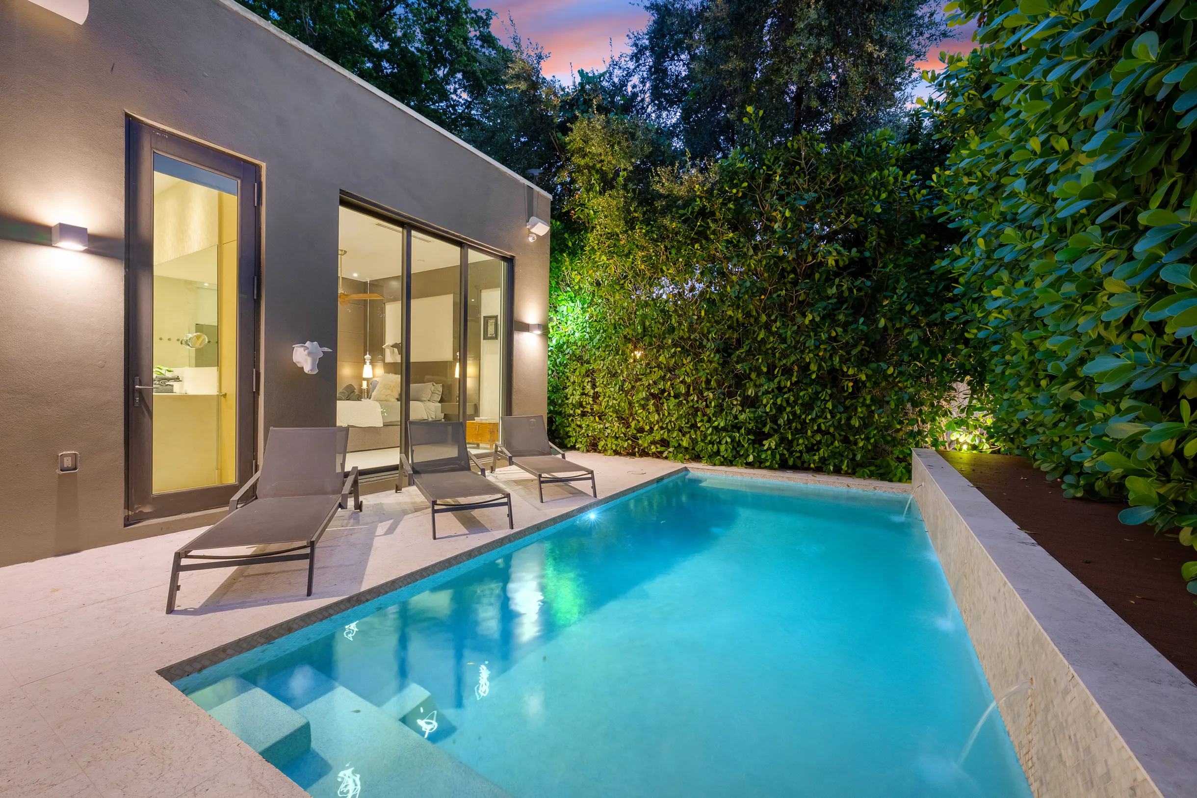 Wander District Palms #5