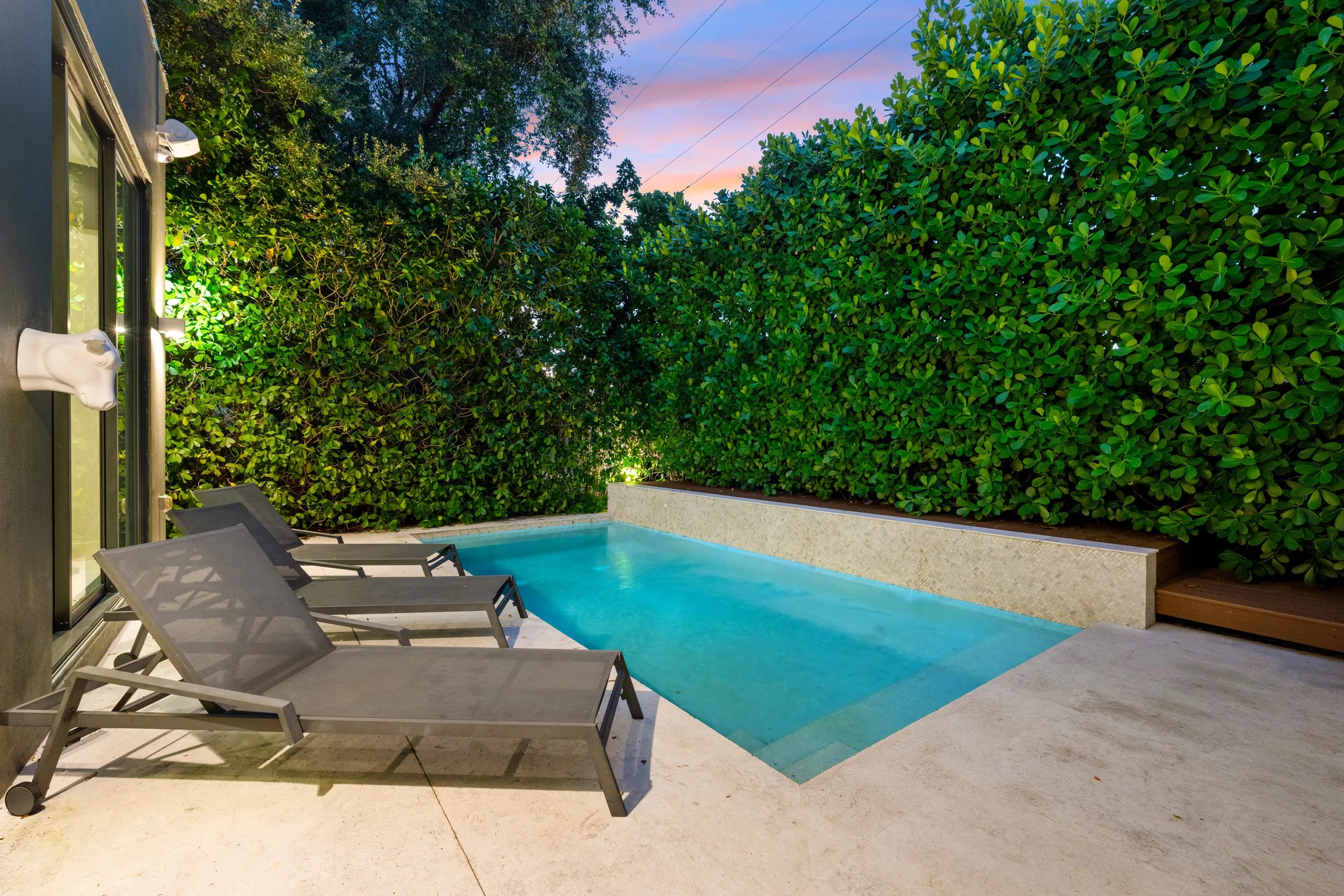 Wander District Palms #32