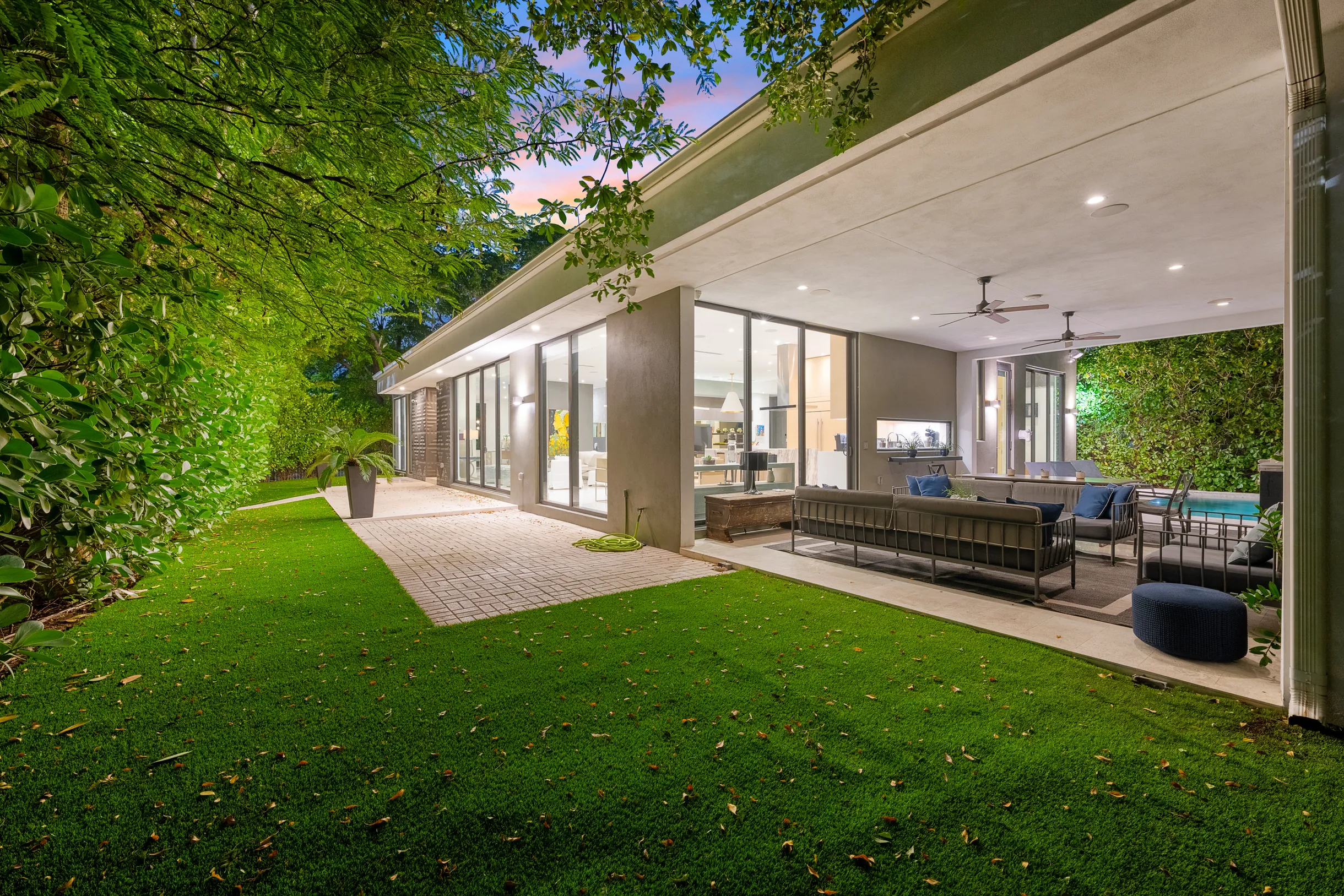 Wander District Palms #60