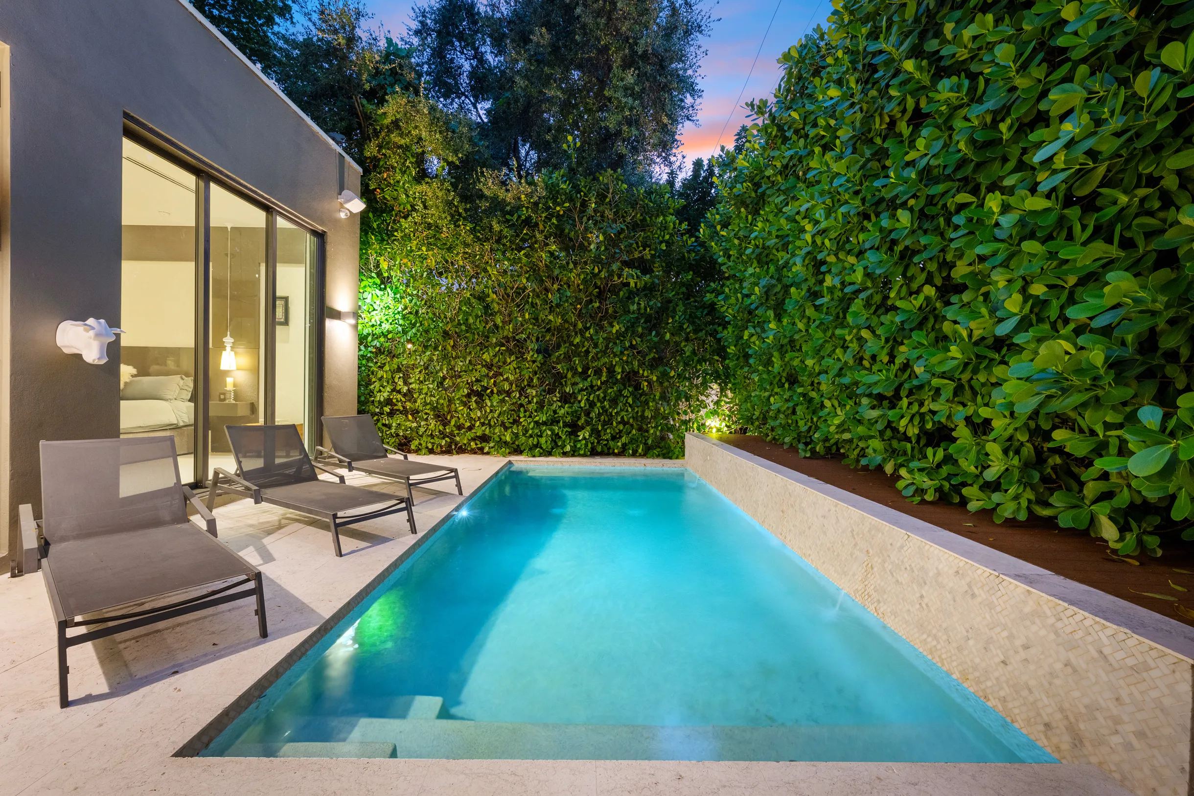 Wander District Palms #18