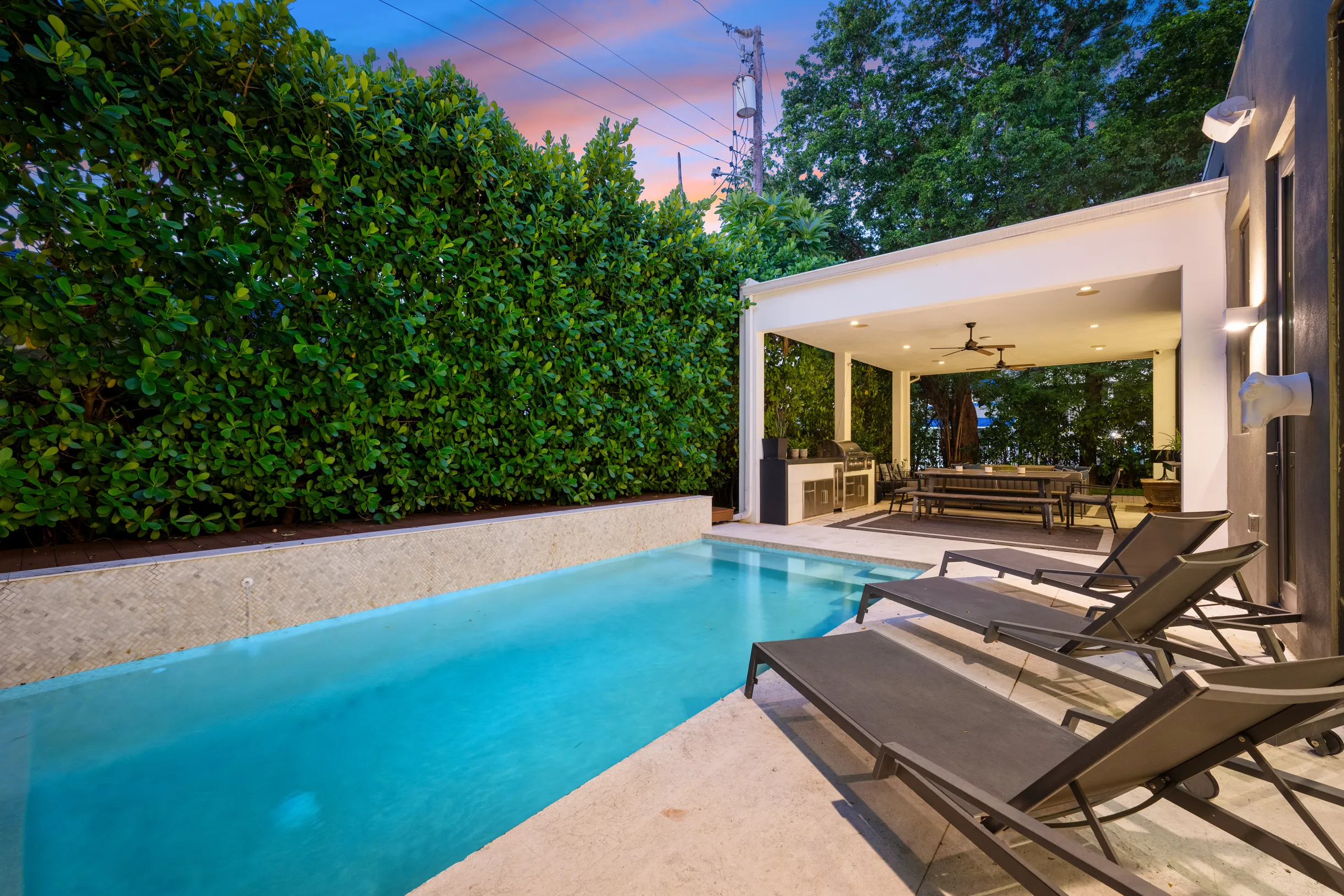 Wander District Palms #43