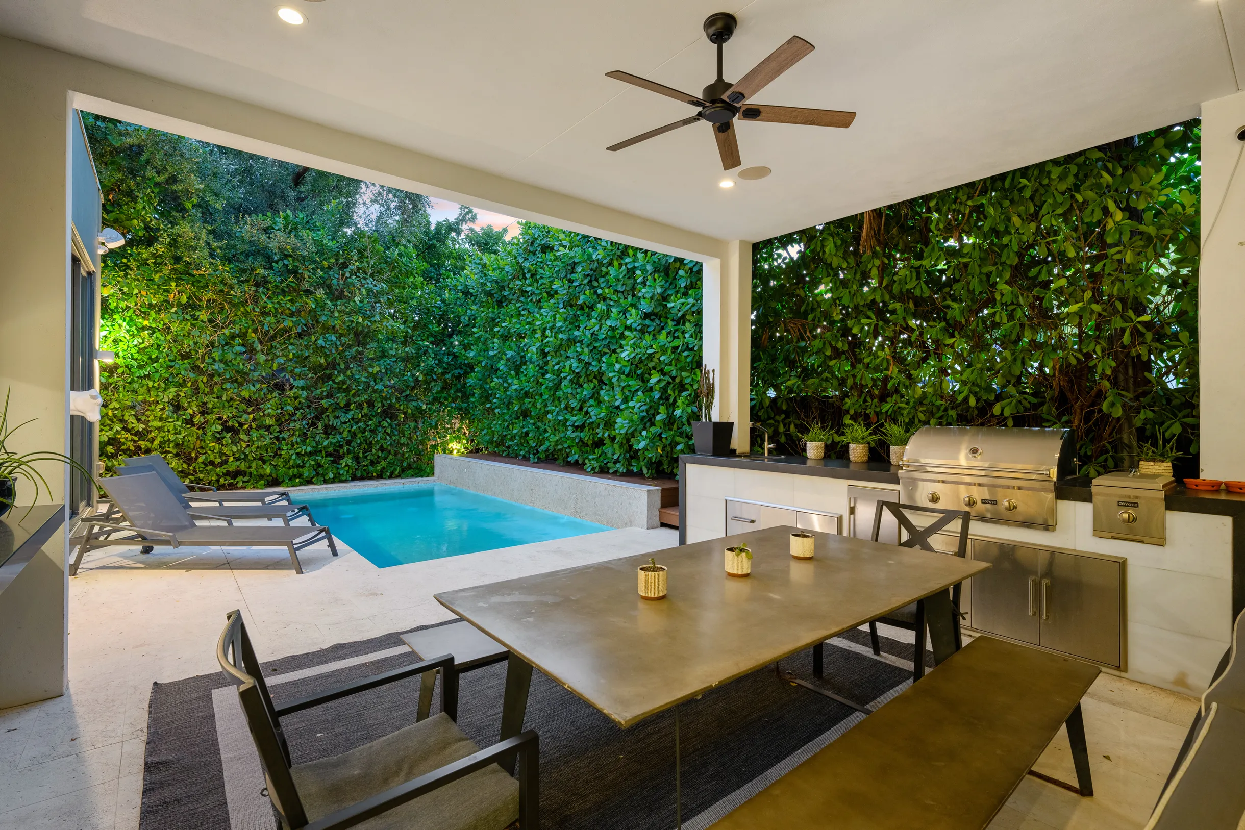 Wander District Palms #65