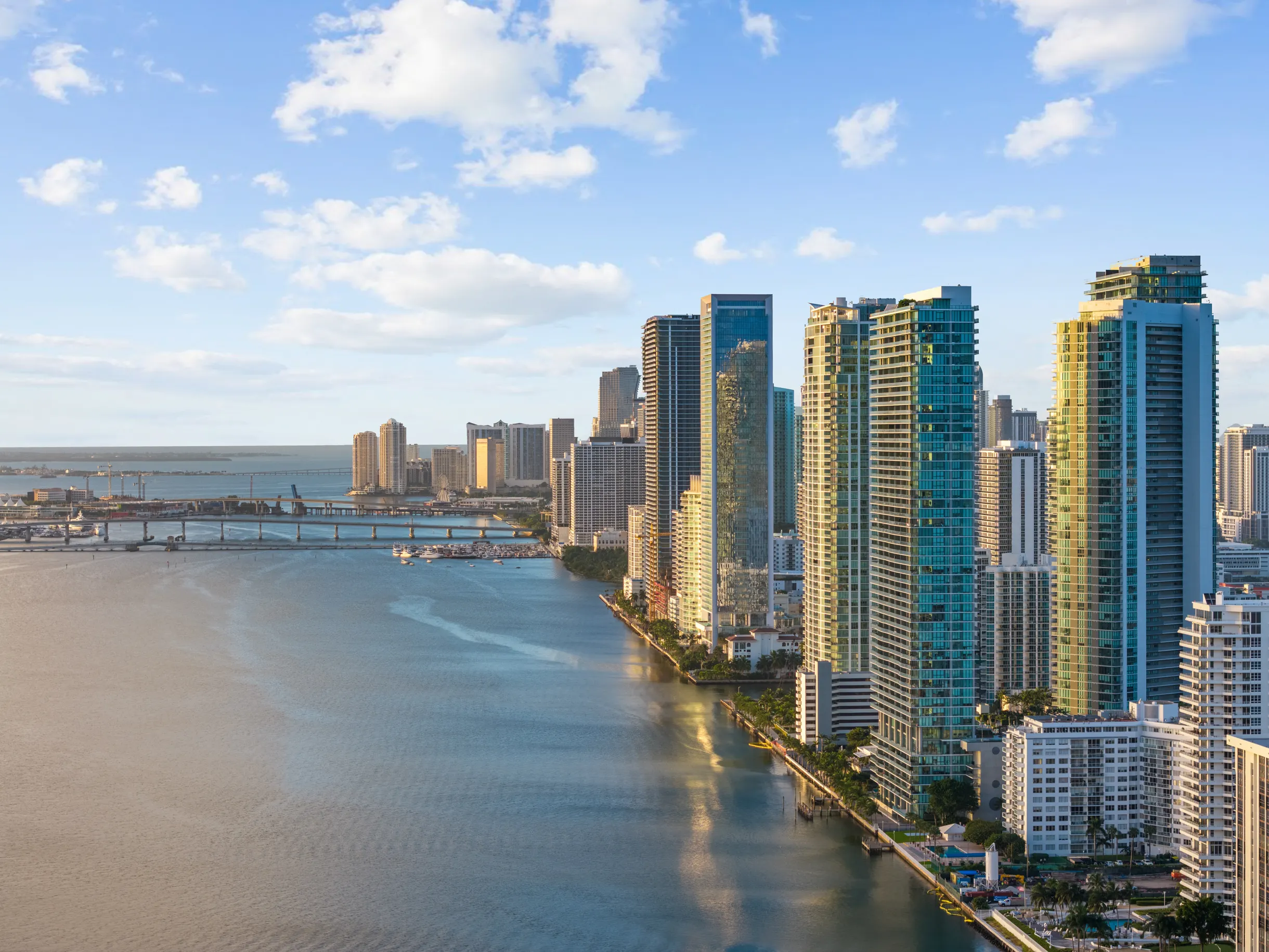 Wander District Palms #44