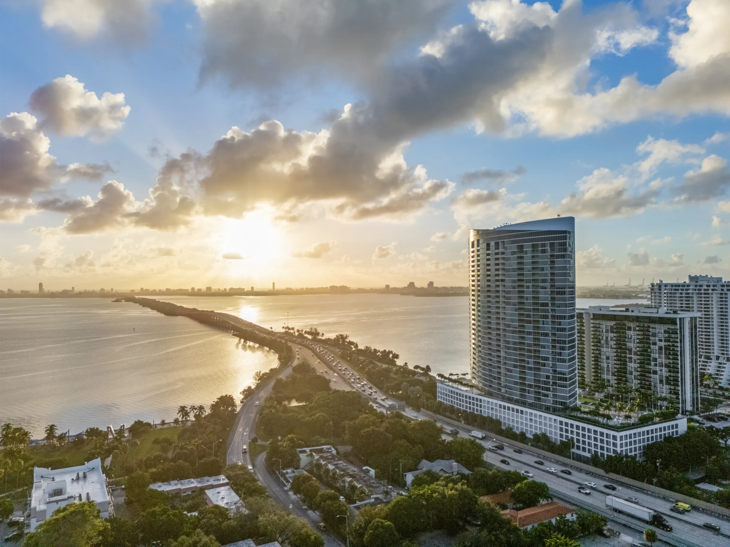 Wander District Palms #53