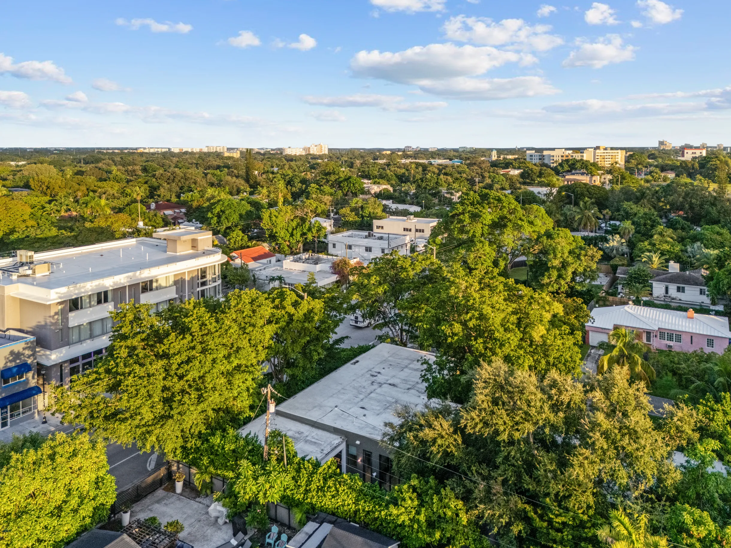 Wander District Palms #66