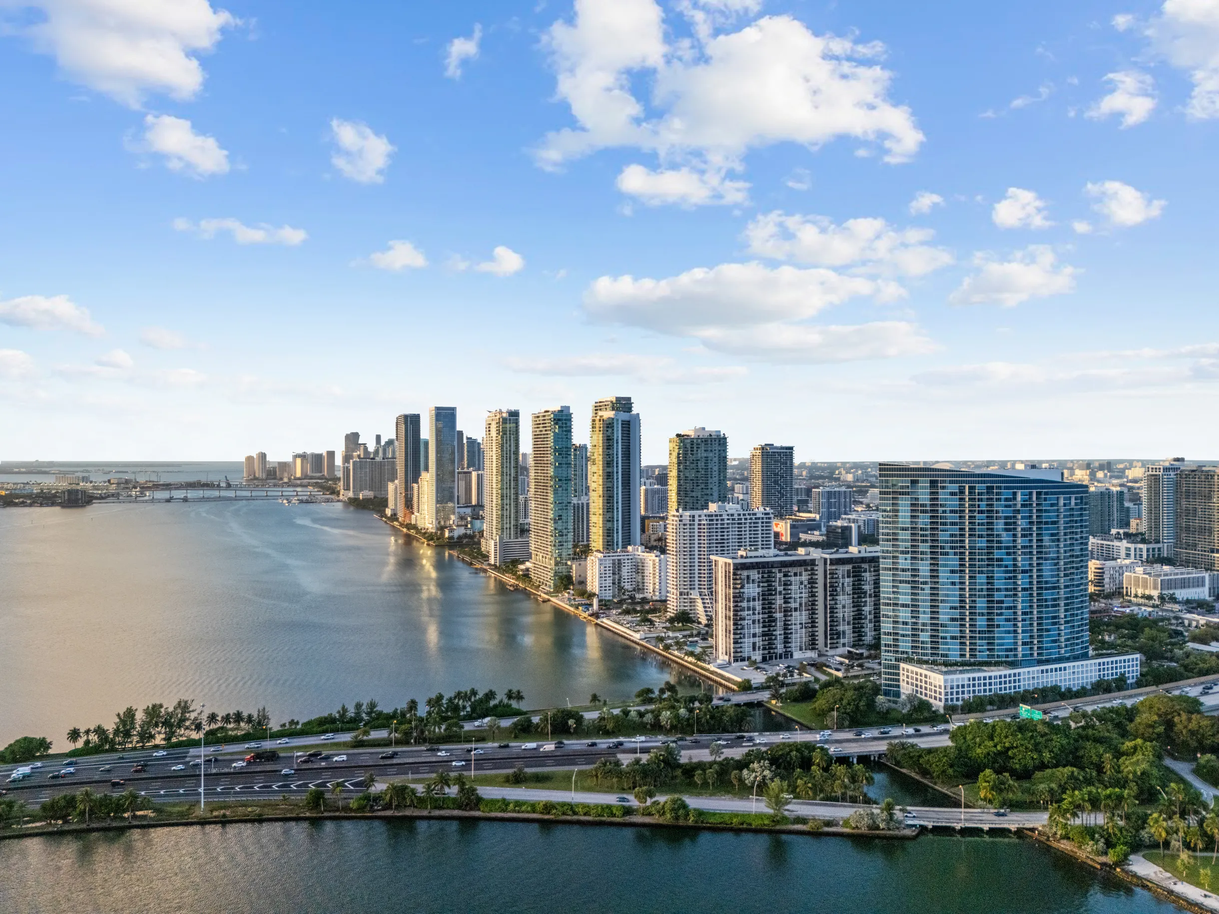 Wander District Palms #71