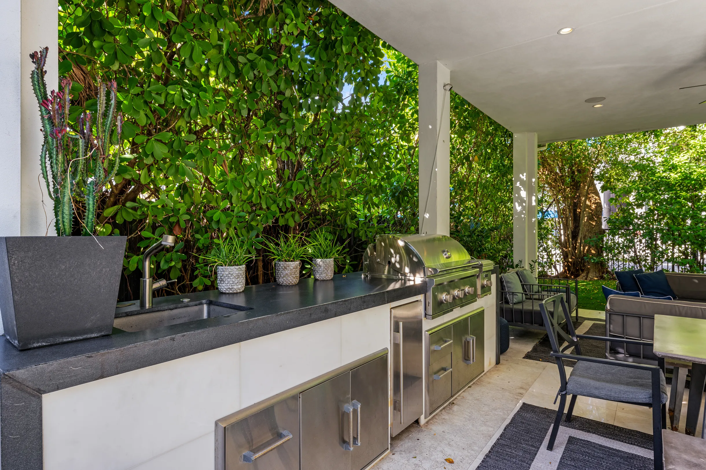 Wander District Palms #79