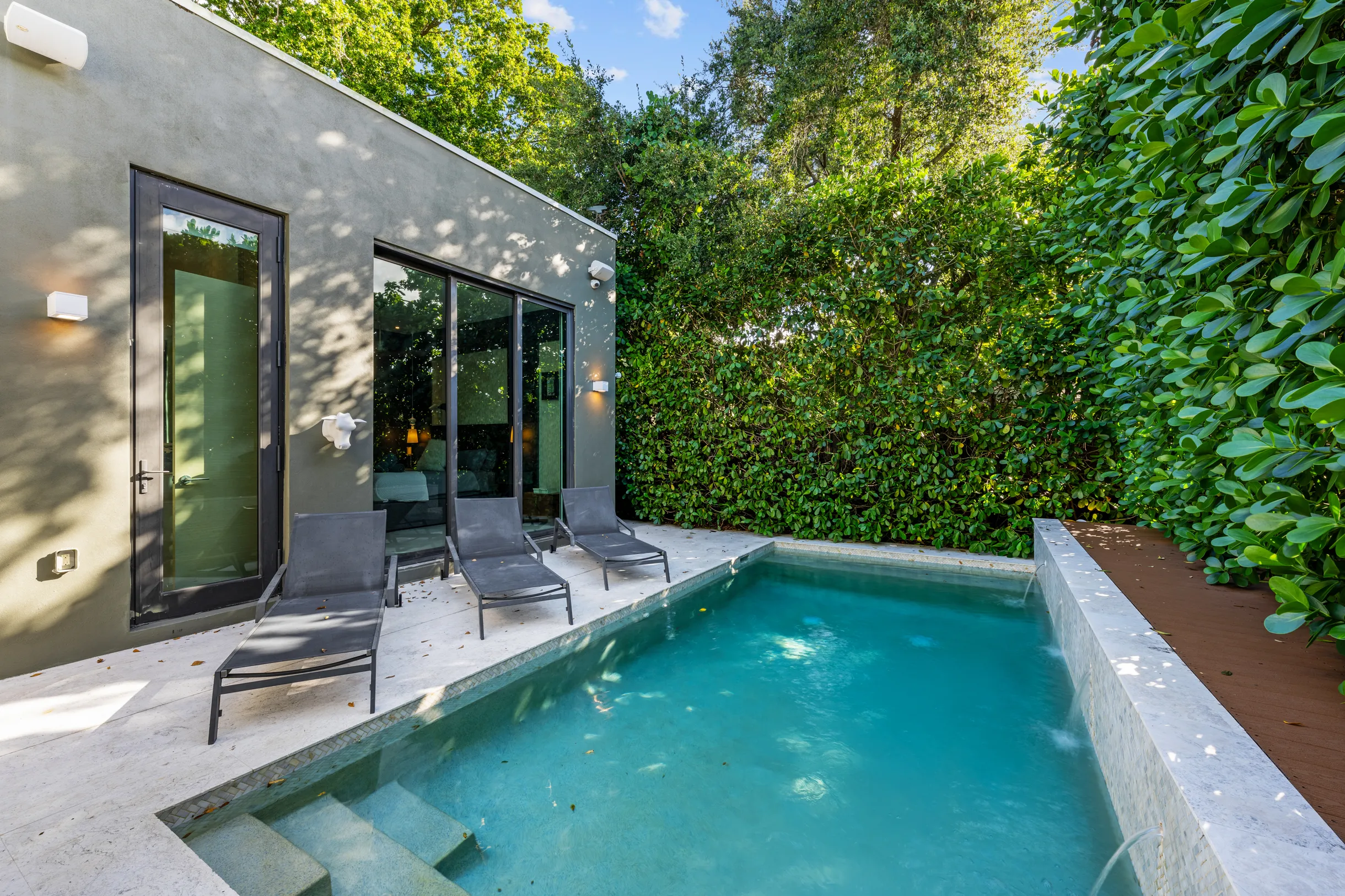 Wander District Palms #81