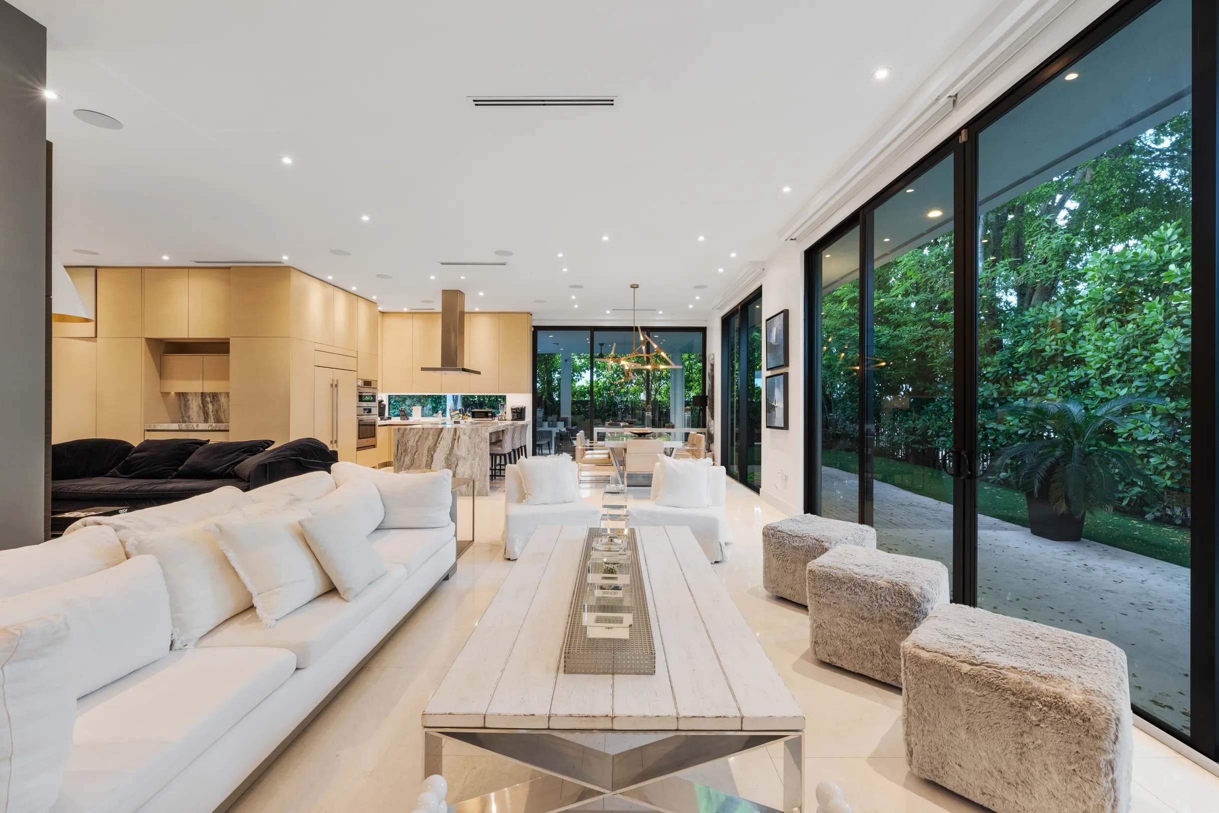 Wander District Palms #67