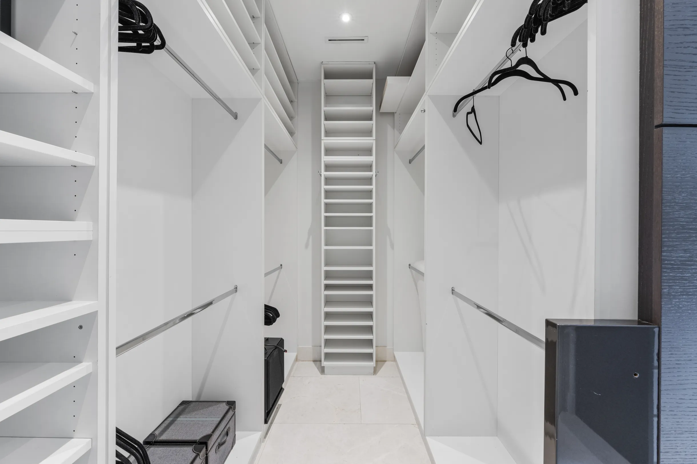 Wander District Palms #59