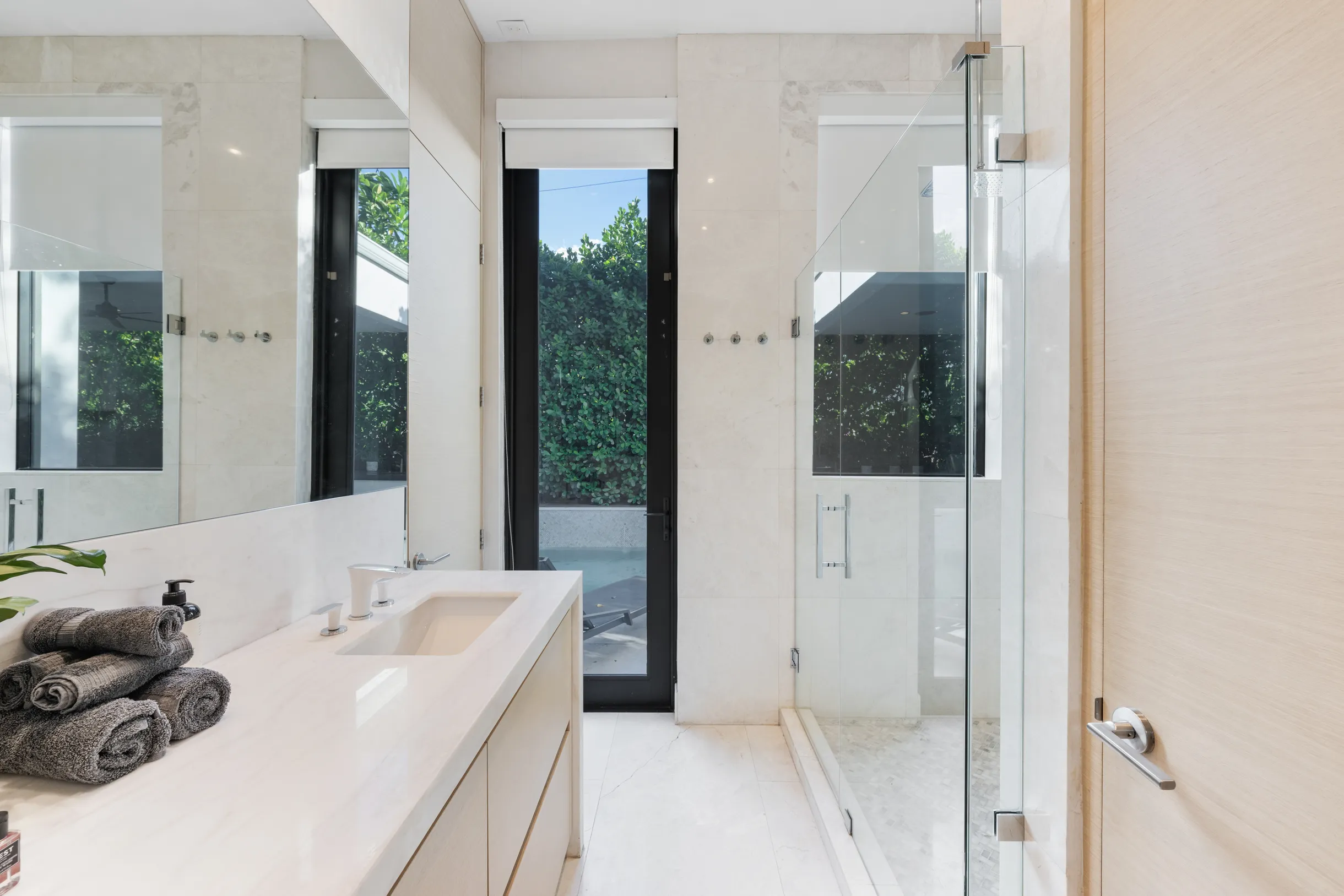 Wander District Palms #24