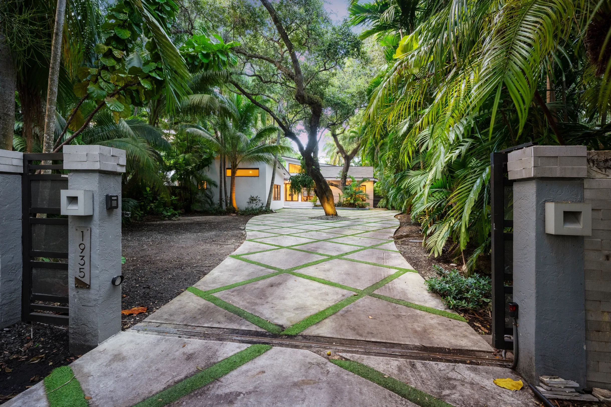 Wander Grove Banyan #4