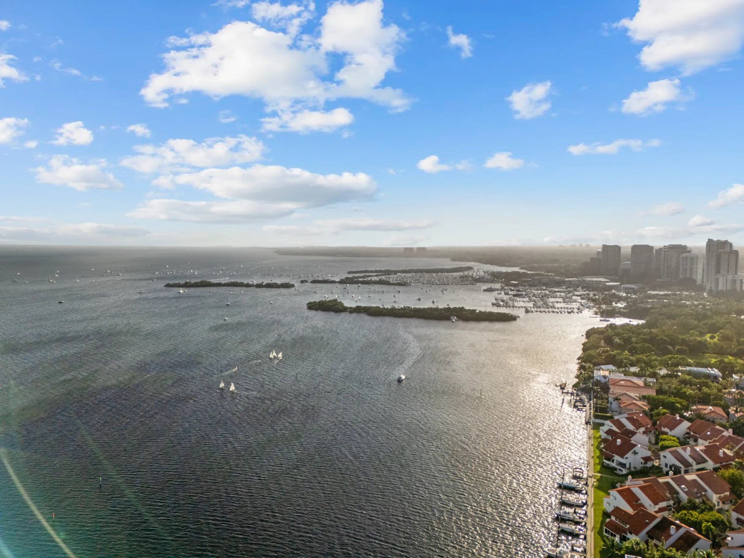 Wander Grove Banyan #87