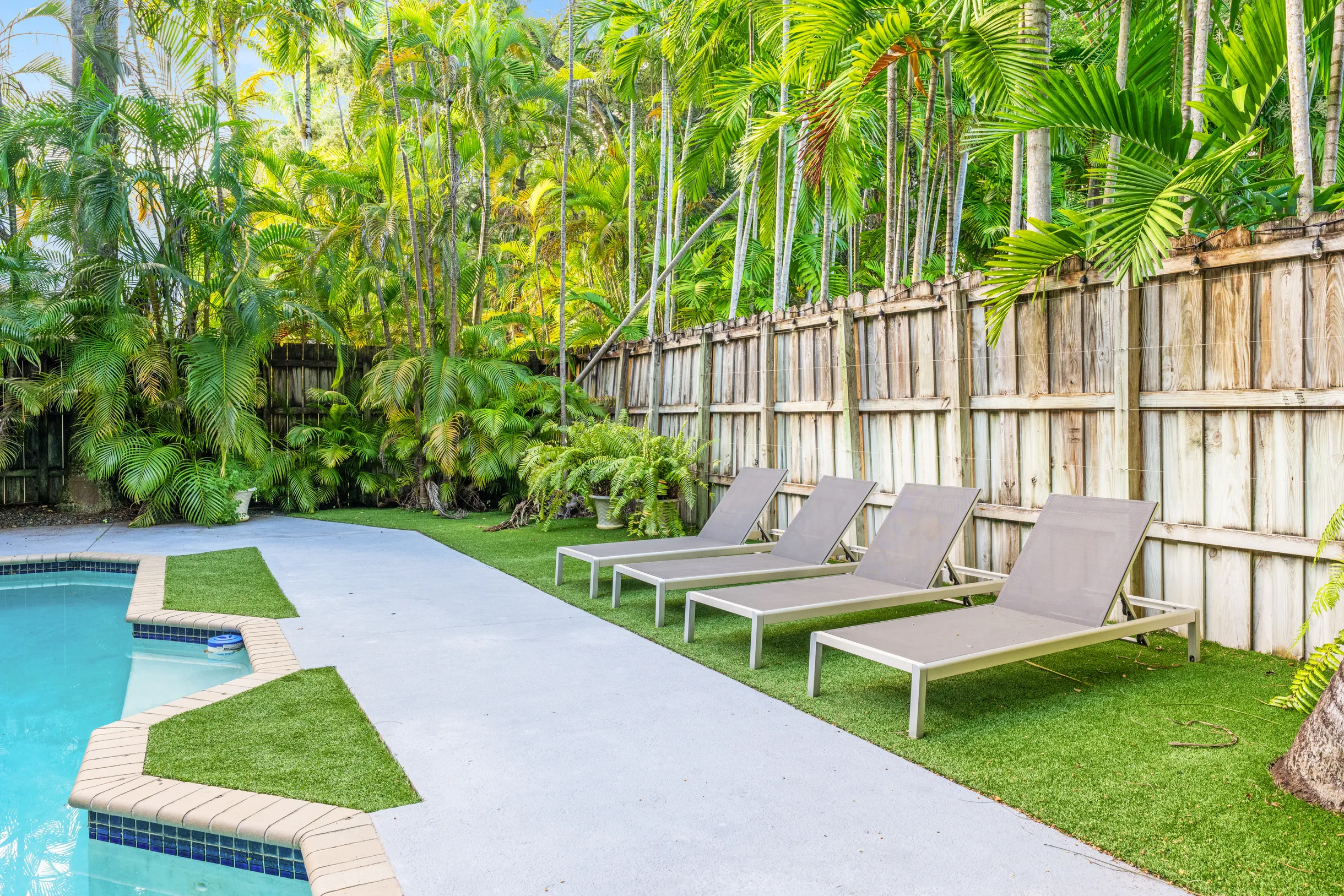 Wander Grove Banyan #90