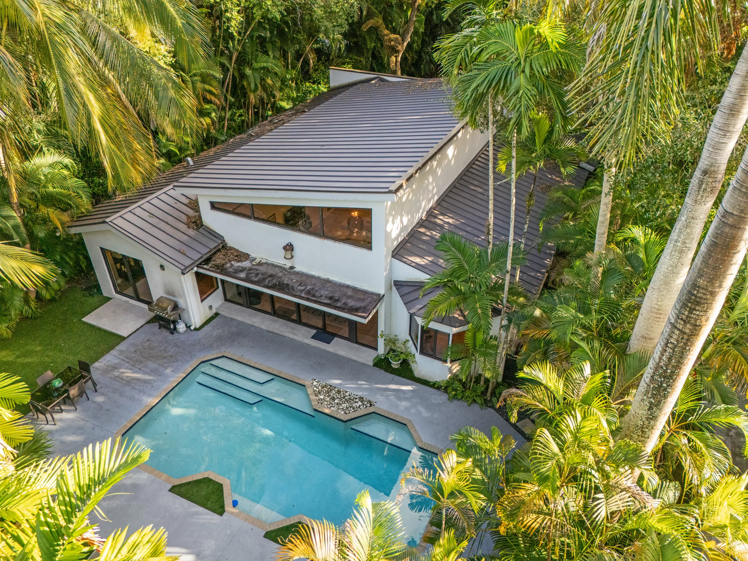 Wander Grove Banyan #65