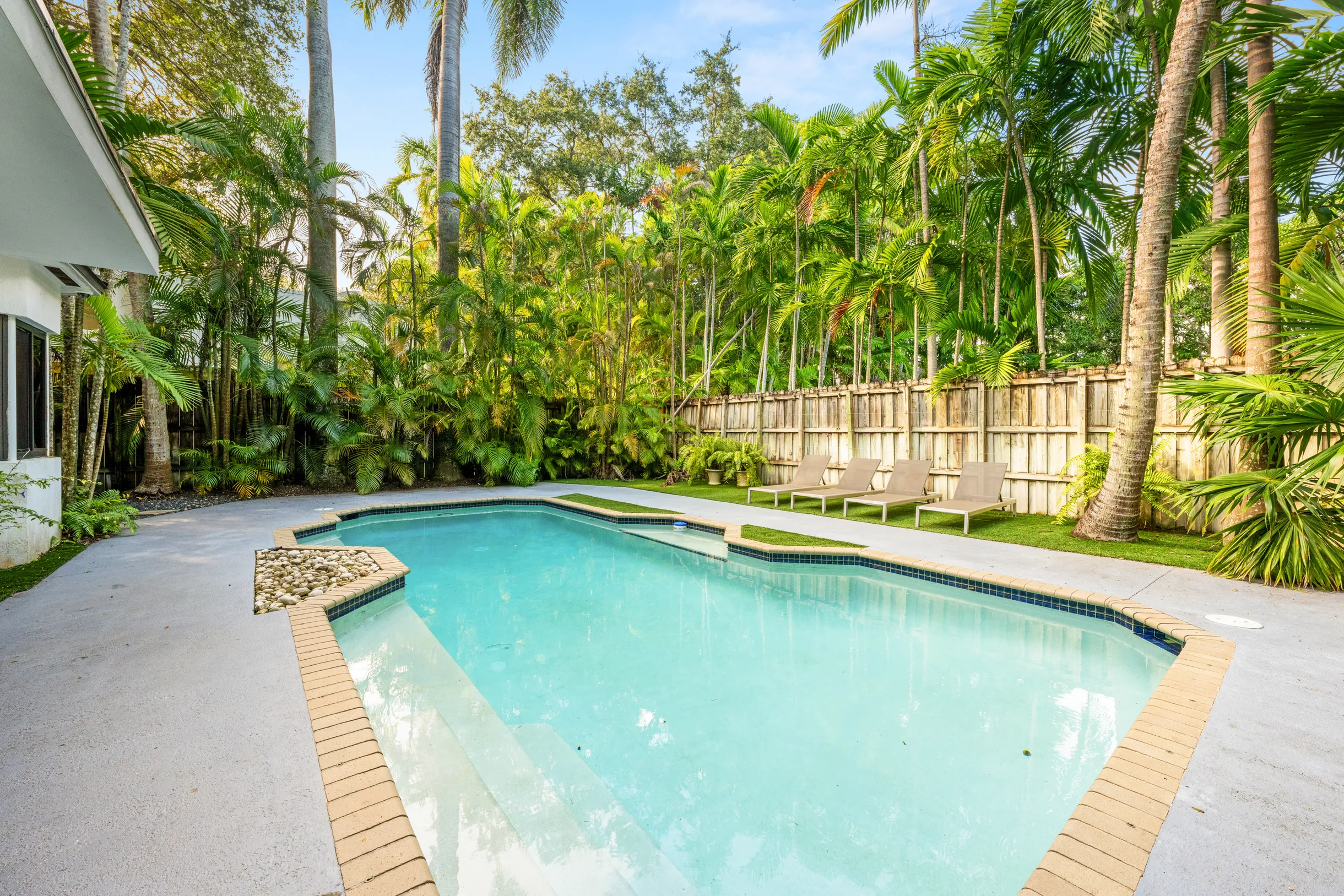 Wander Grove Banyan #89