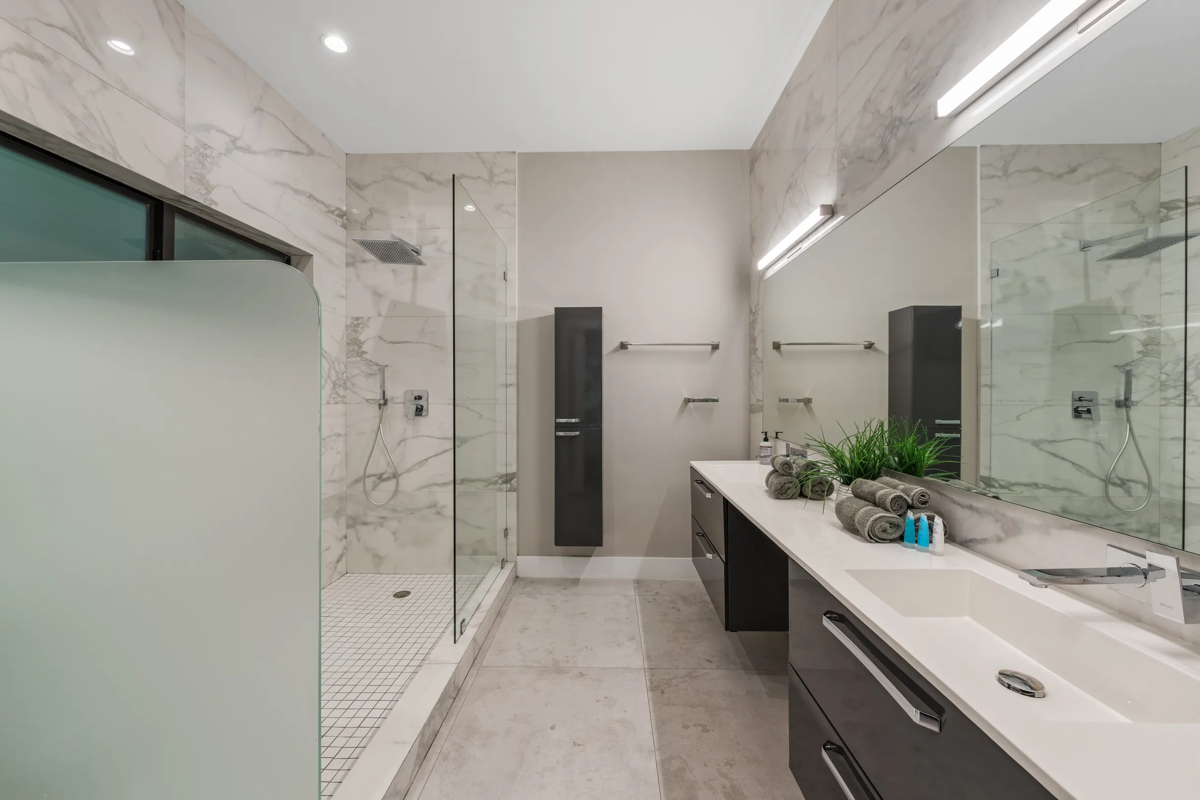 Wander Grove Banyan #15