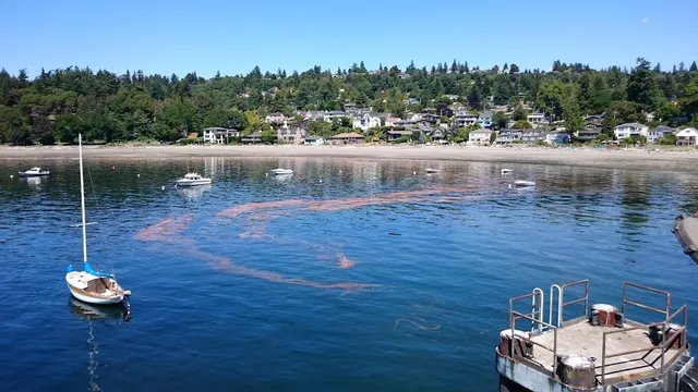 Fauntleroy Ferry Terminal