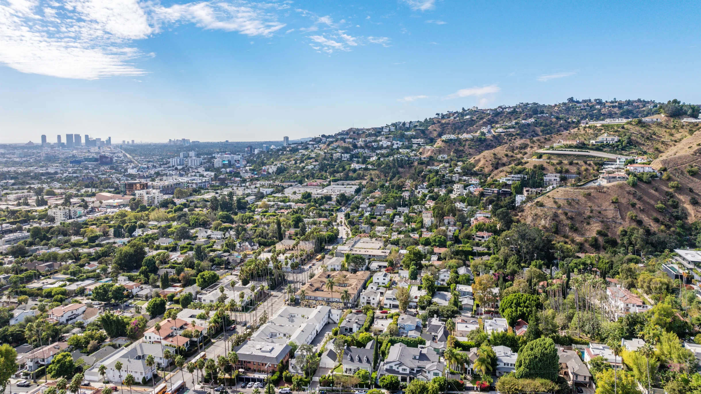 Wander Hollywood Canyon #74