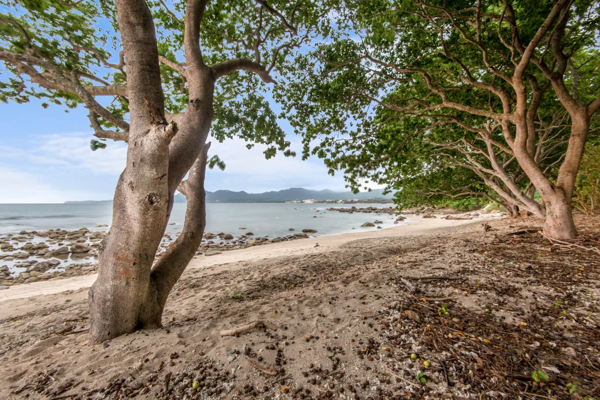 Wander Punta Dunes #35