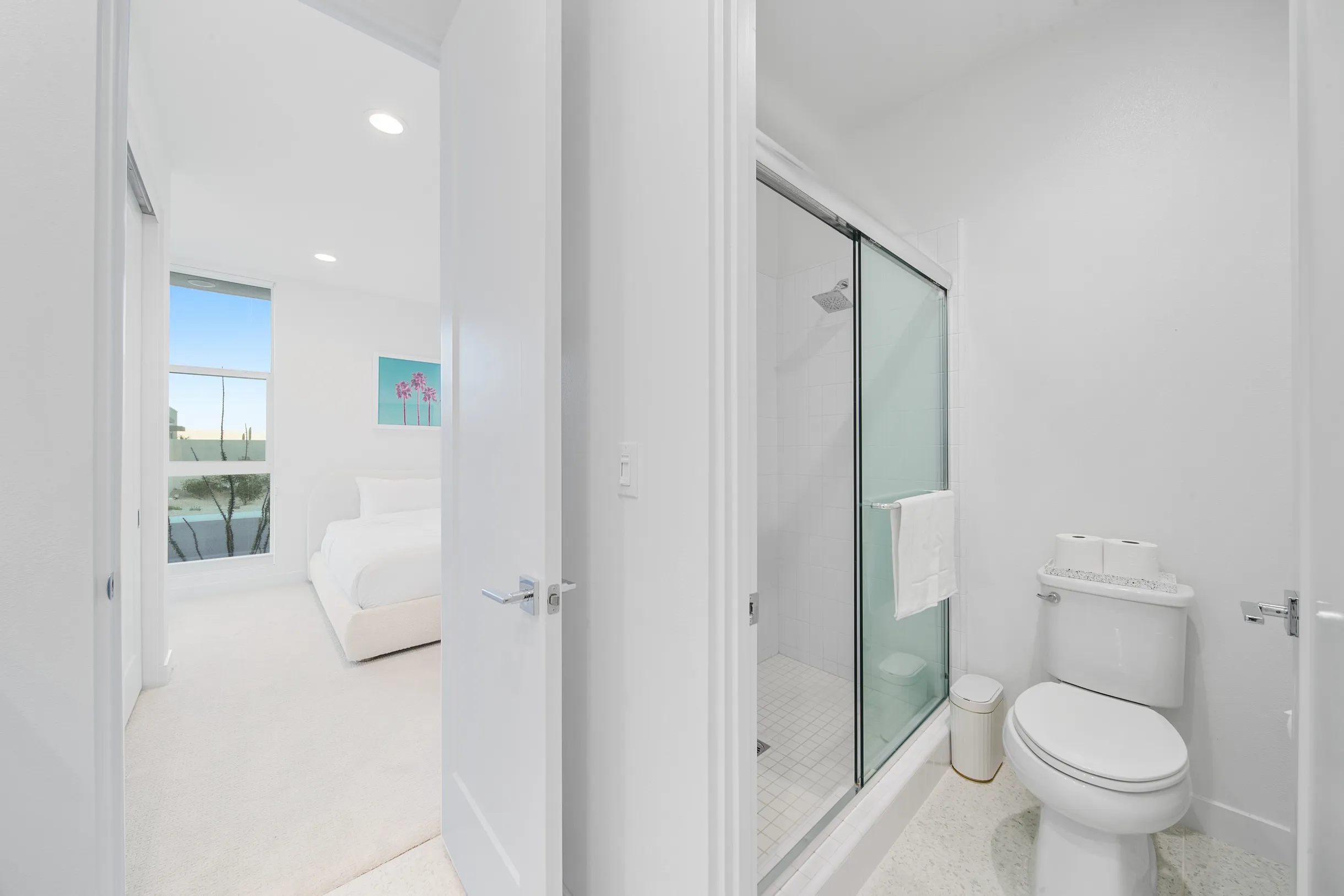 Wander Palm Springs Oasis #8