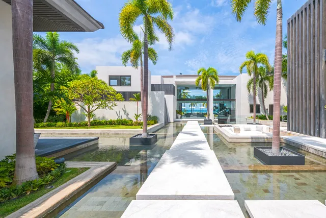 Wander Punta Mita Ballena #3