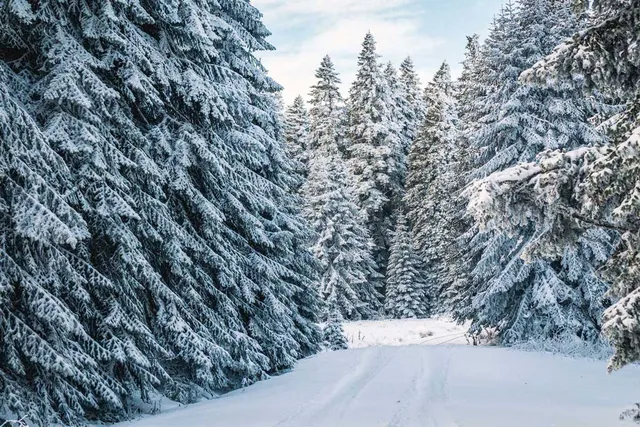 Northstar Cross Country, Telemark, and Snowshoe Center