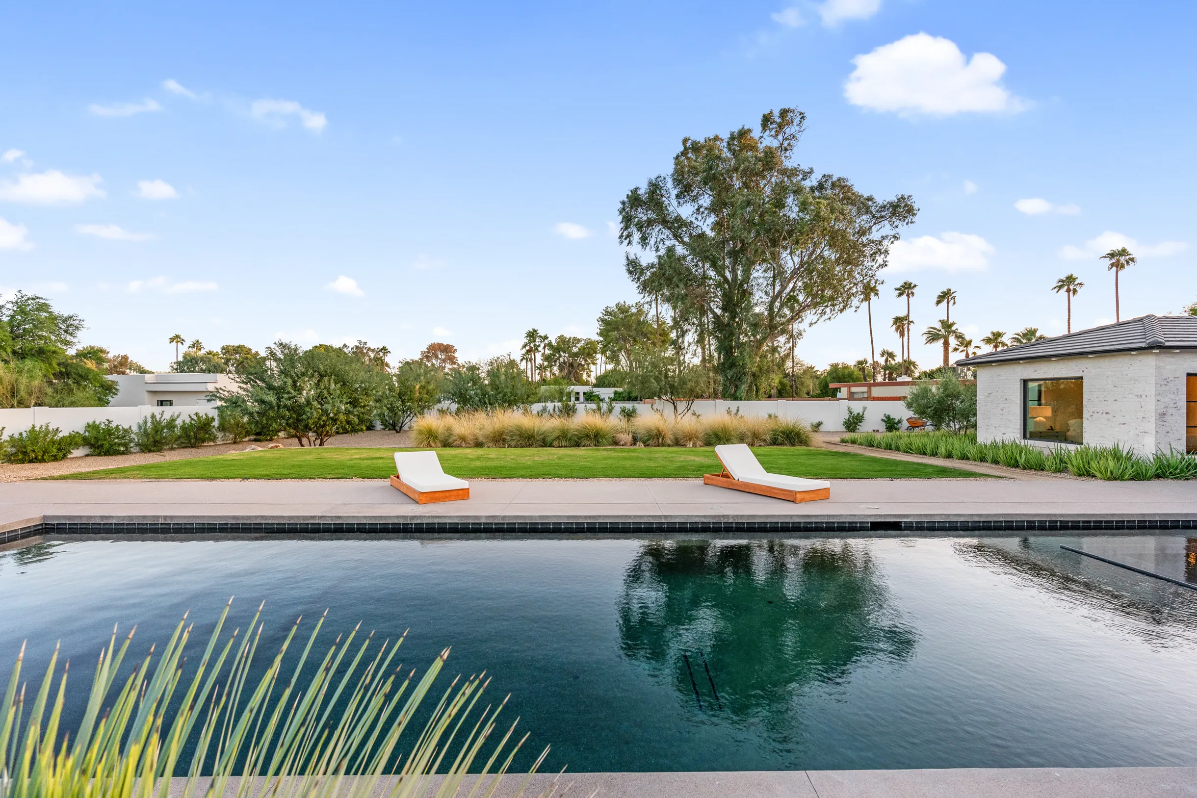 Wander Paradise Valley #86