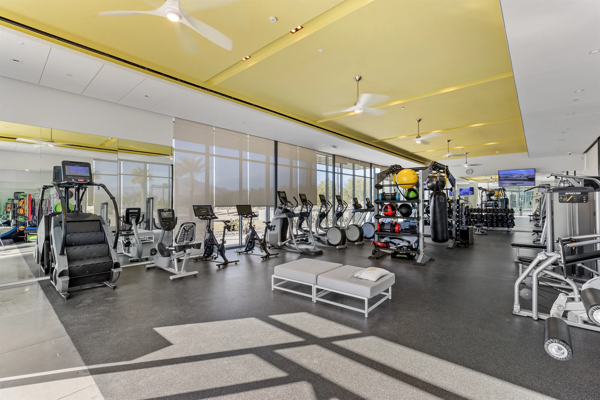 Wander Palm Springs Oasis #62