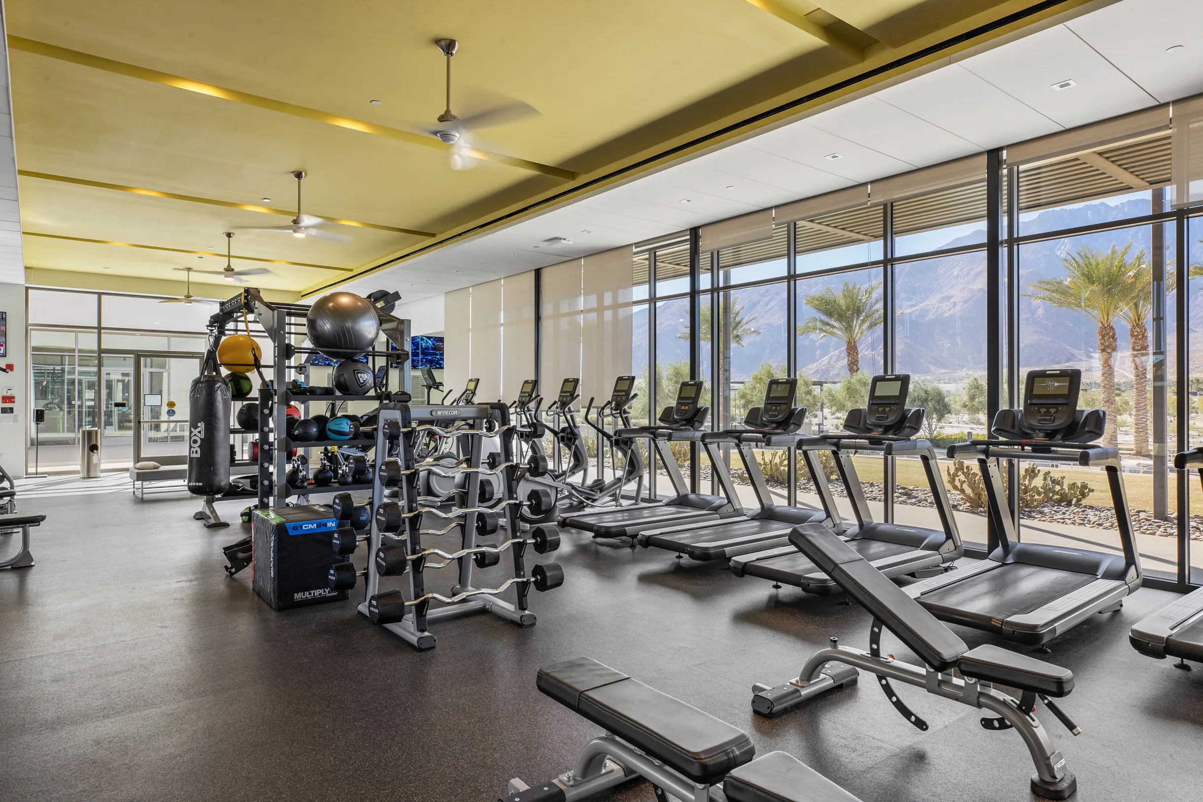 Wander Palm Springs Oasis #15