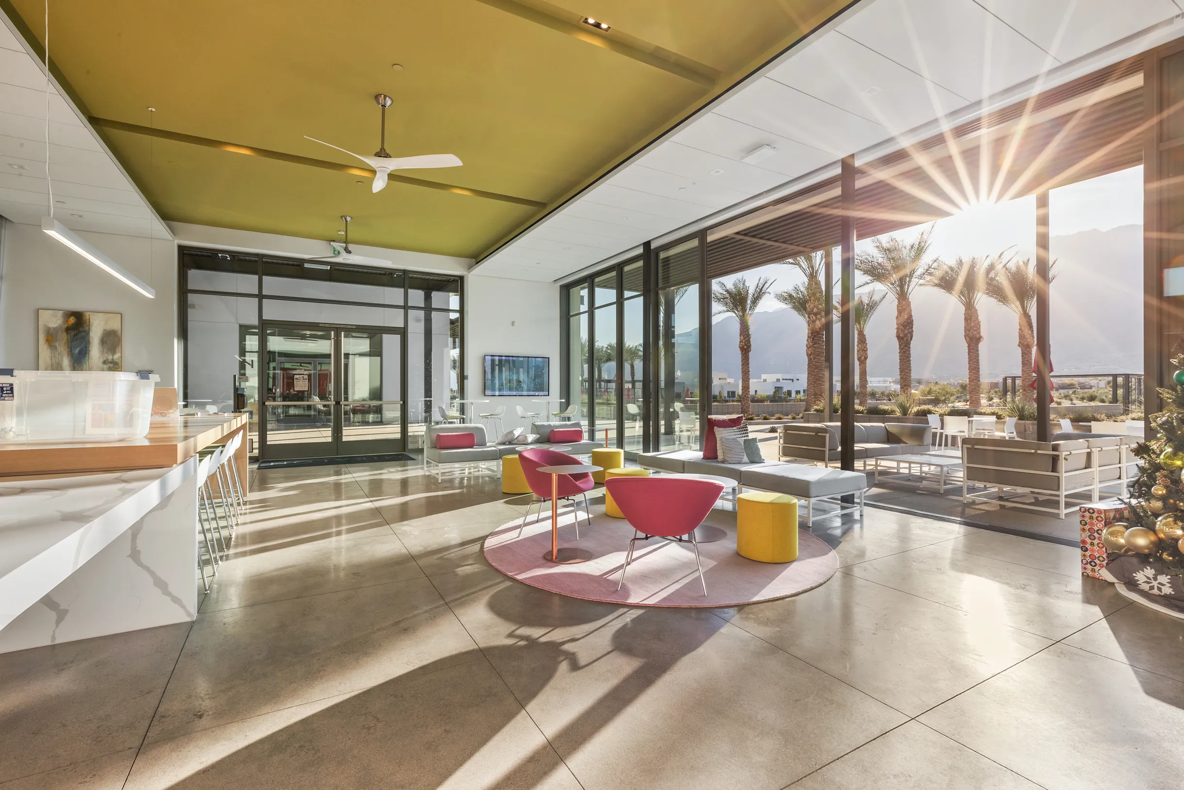 Wander Palm Springs Oasis #69