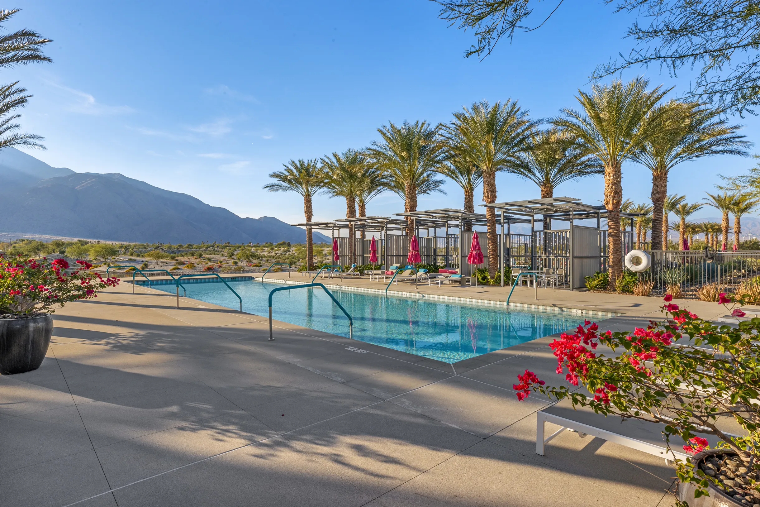 Wander Palm Springs Oasis #70