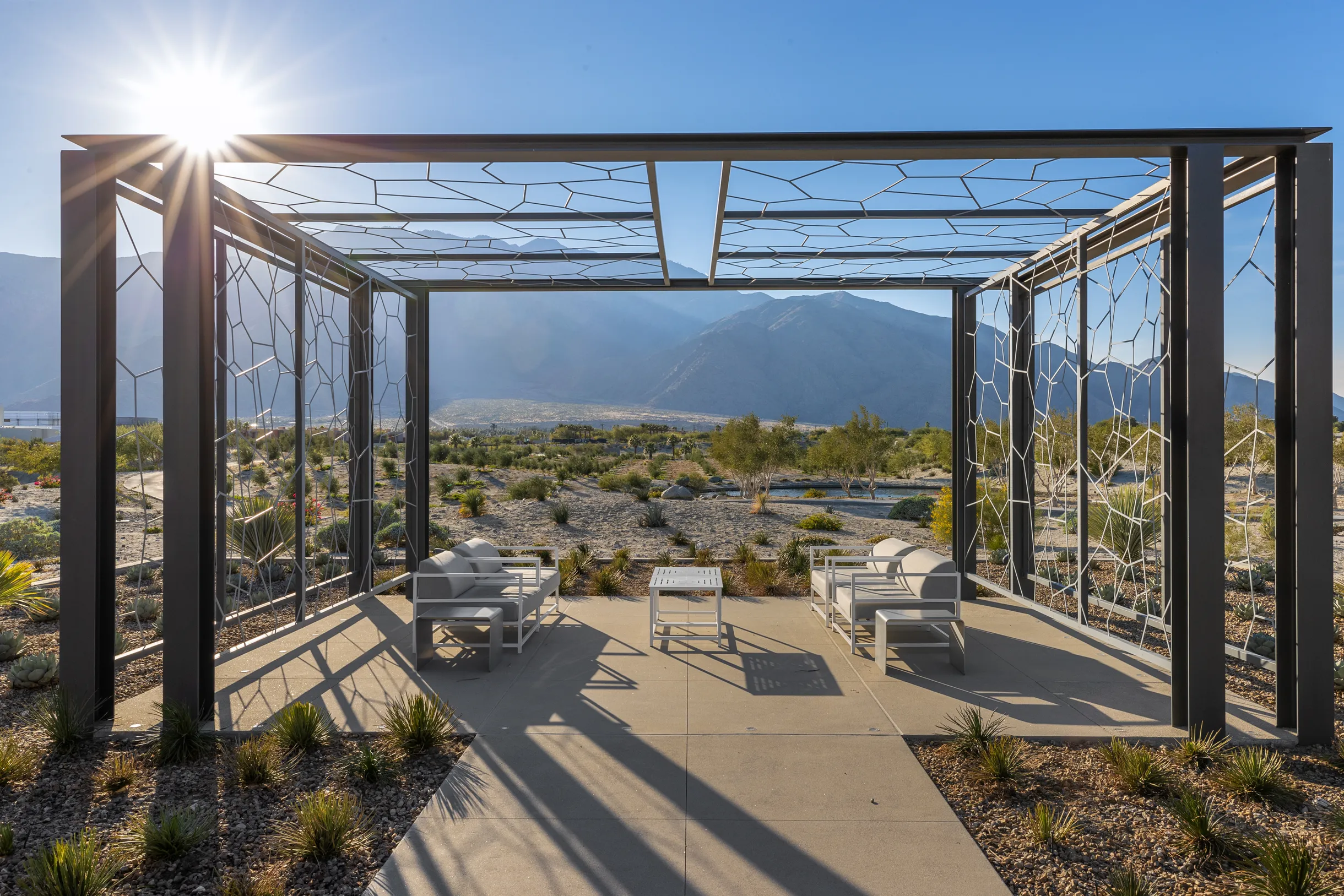 Wander Palm Springs Oasis #17