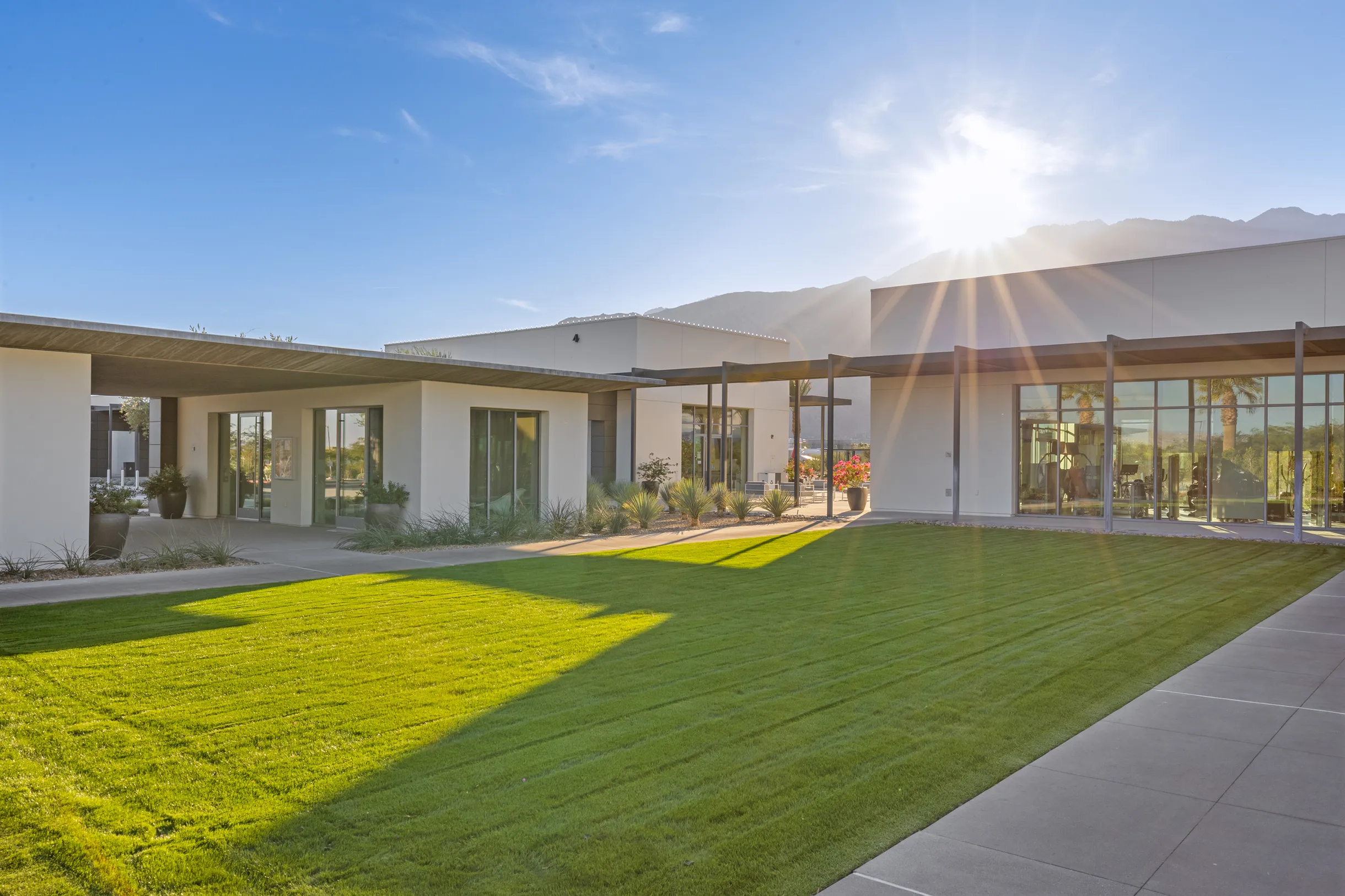 Wander Palm Springs Oasis #48