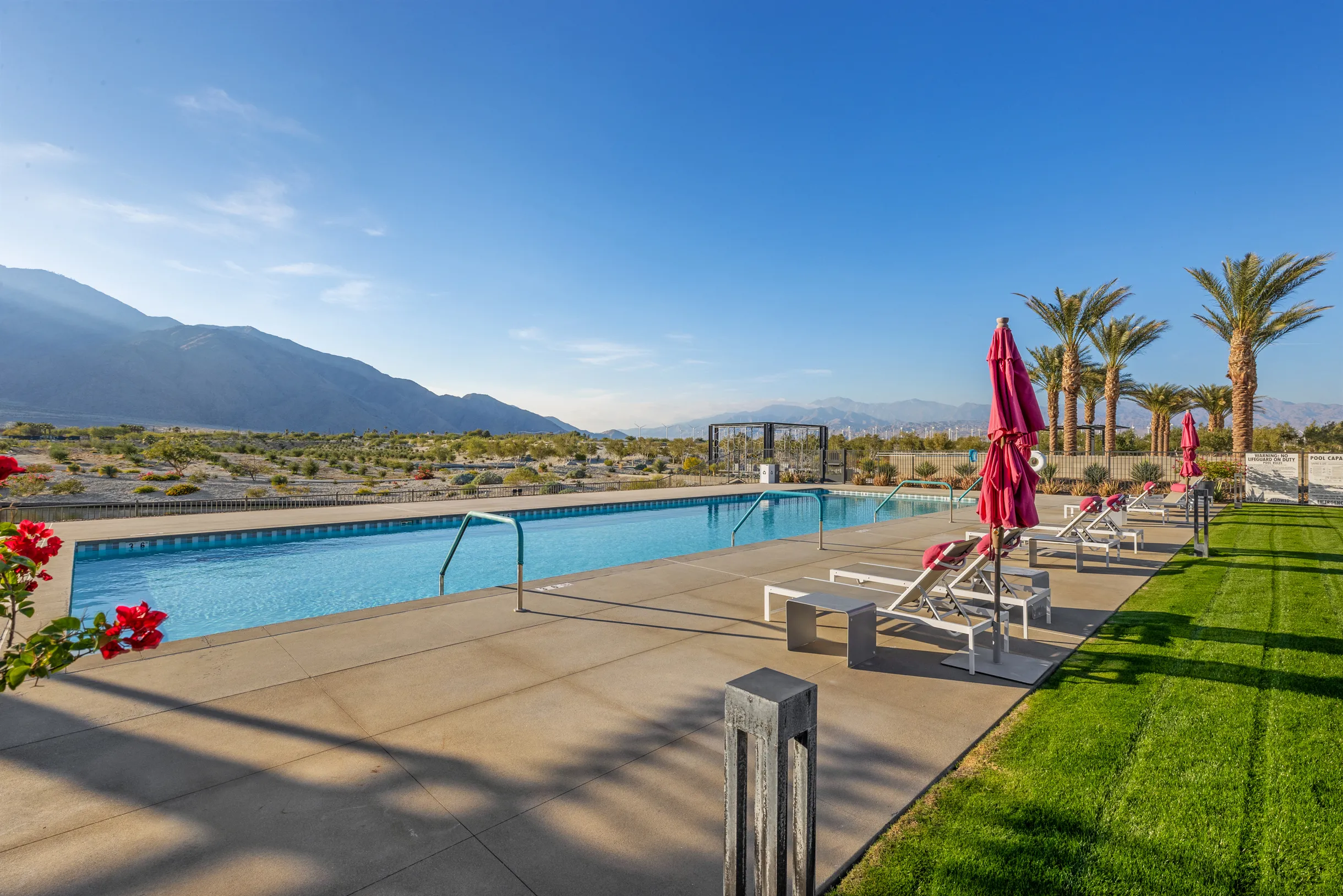 Wander Palm Springs Oasis #49