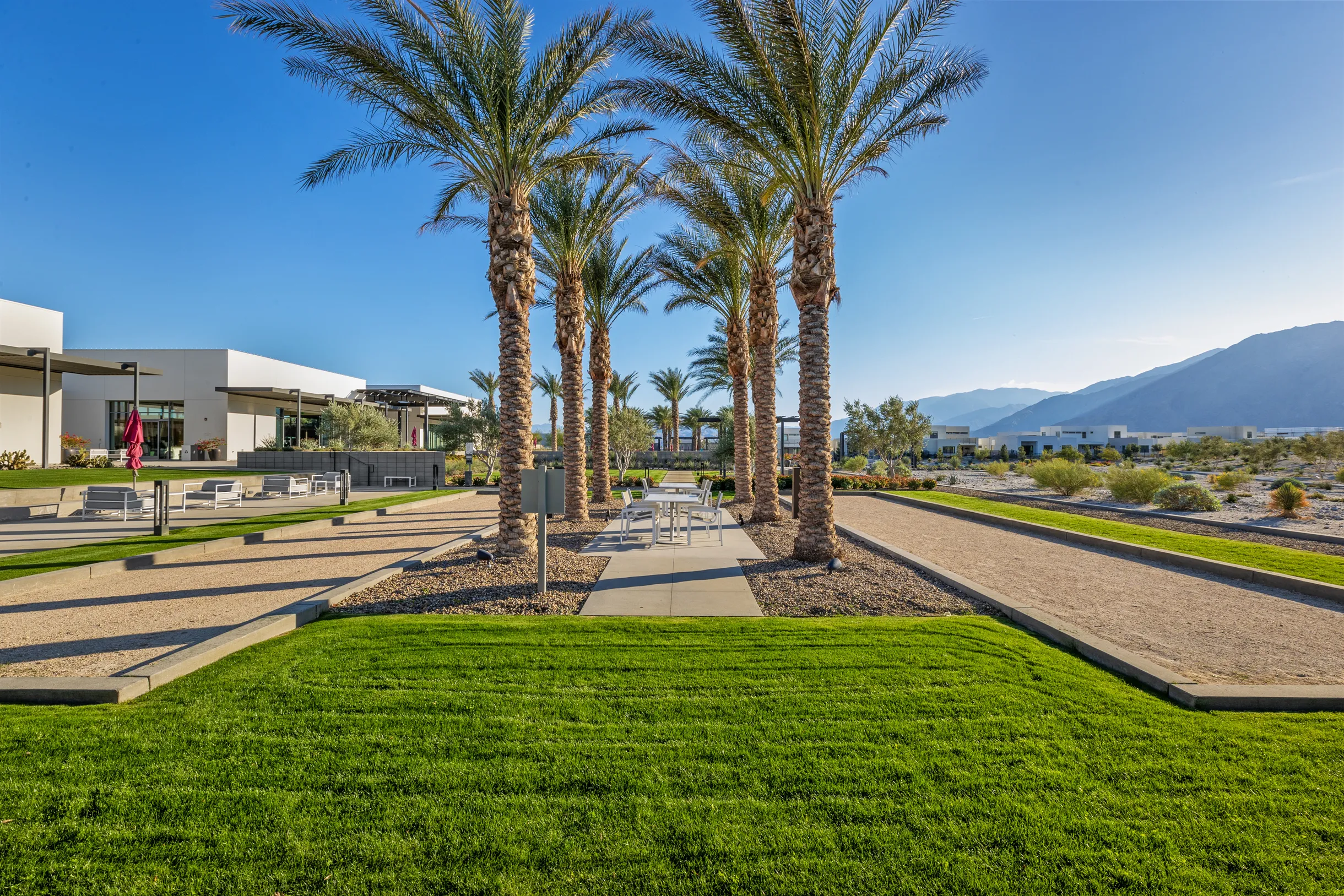 Wander Palm Springs Oasis #71