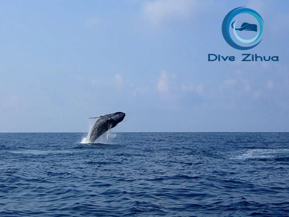 Wander Finestre Beach: Activities Guide