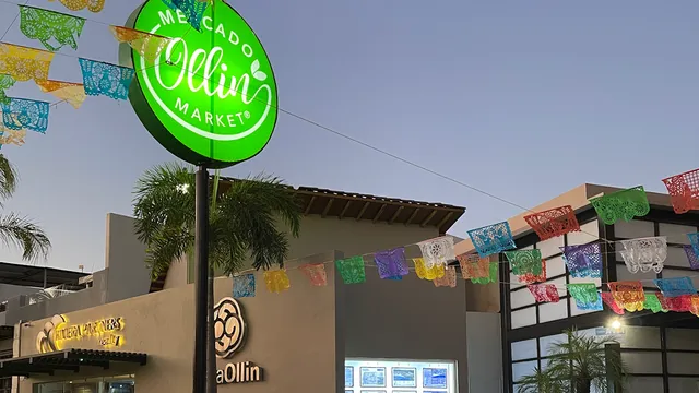 Mercado Ollin