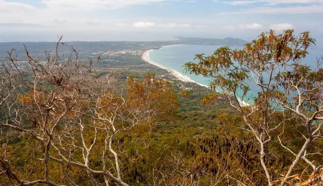 Monkey Mountain (Cerro del Mono)