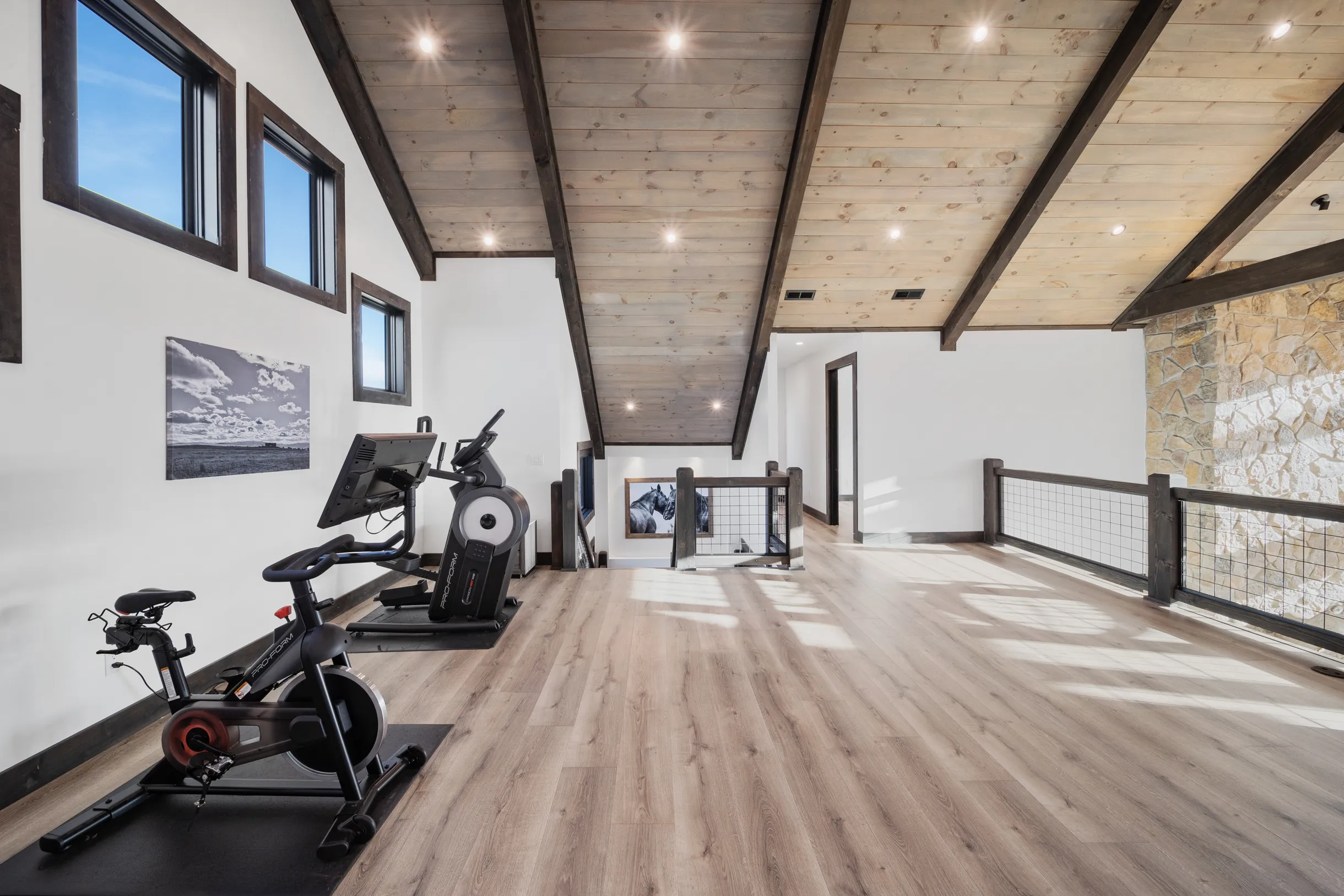 Wander Belt Creek #12