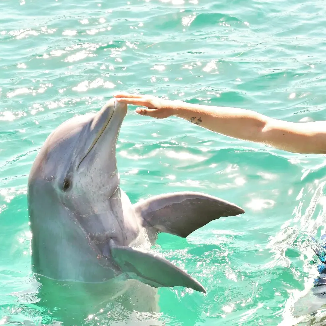 Wander Isla Mujeres: Activities Guide
