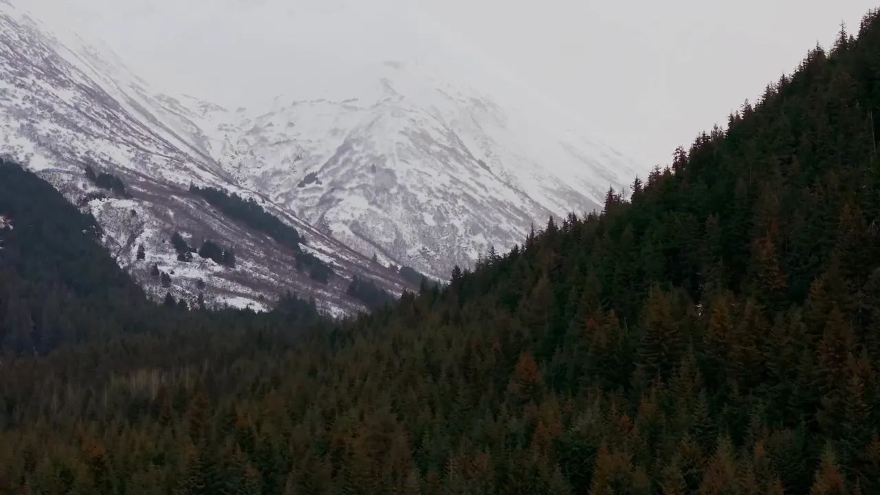 See the local activities