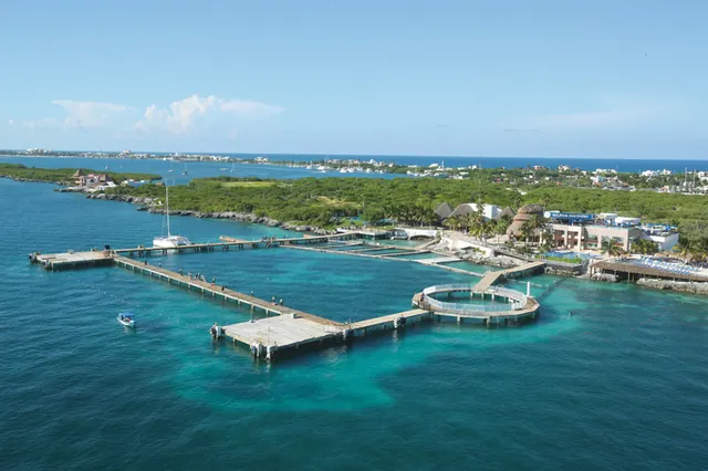 Dolphin Discovery Isla Mujeres