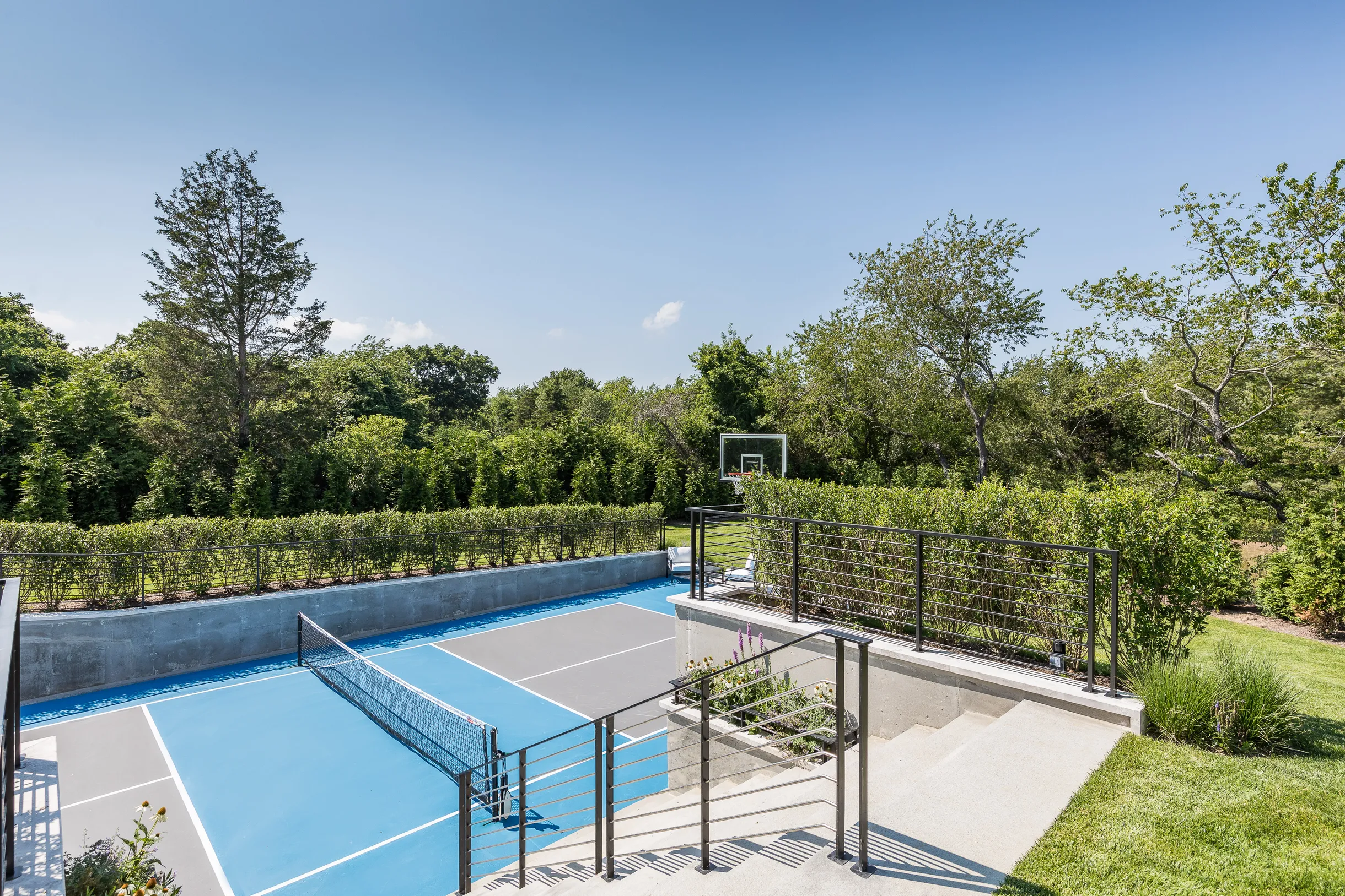 Wander Hampton Vineyard #89