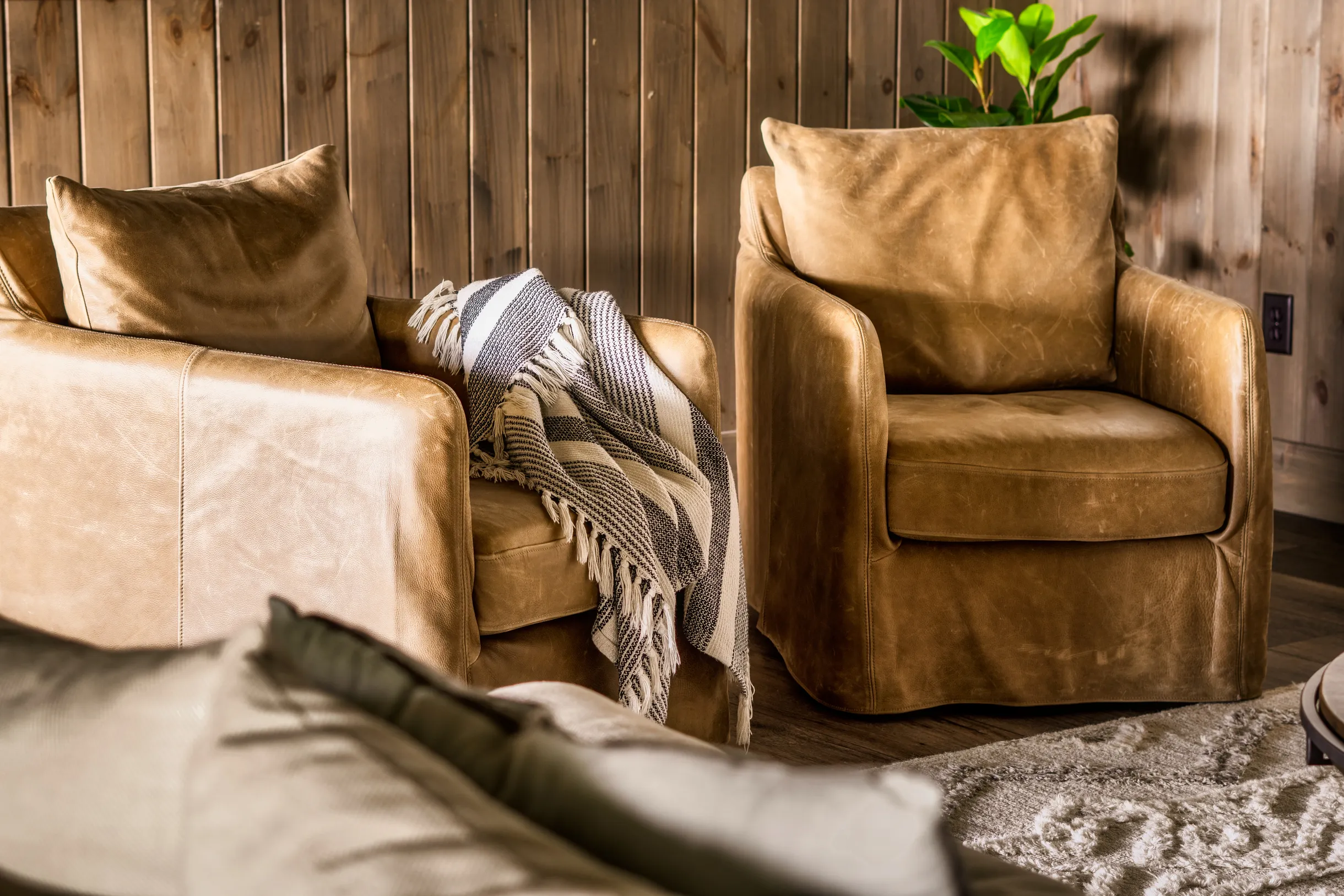 Wander Smoky Ridge #73